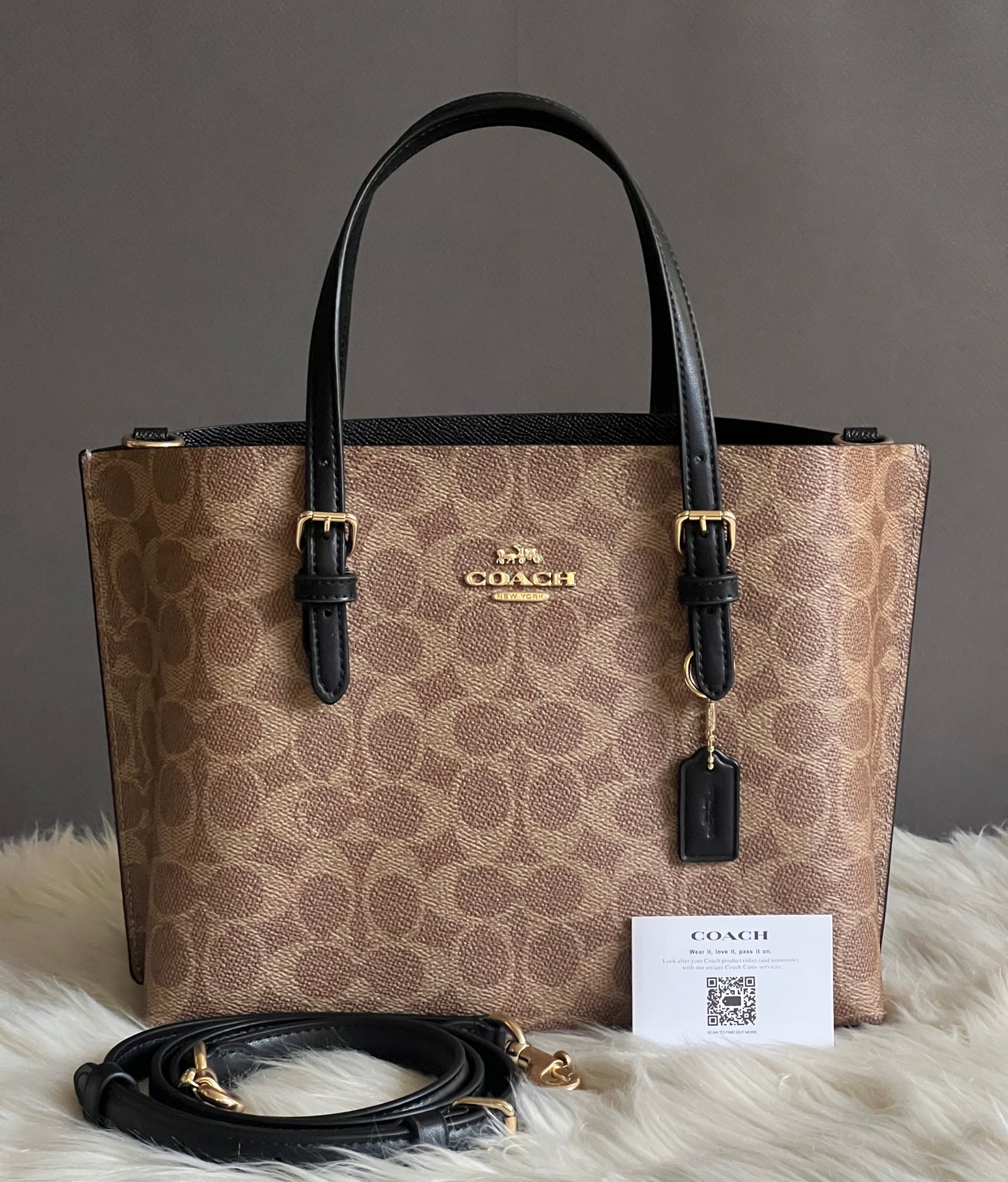 Coach Mollie Tote Bag 25 in Signature Canvas