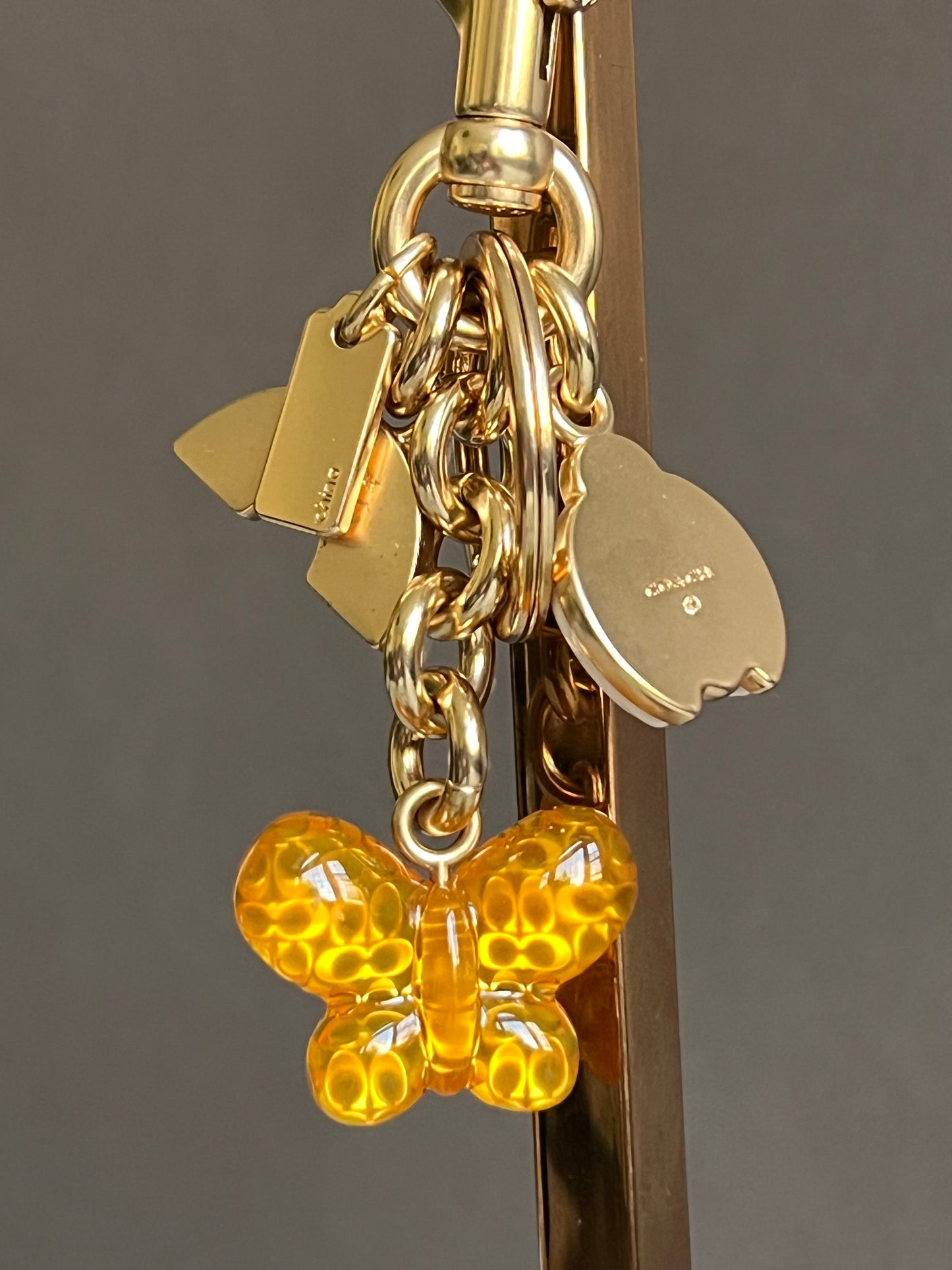 Coach Rainbow Clusters Ladybug Butterfly Bag Charm