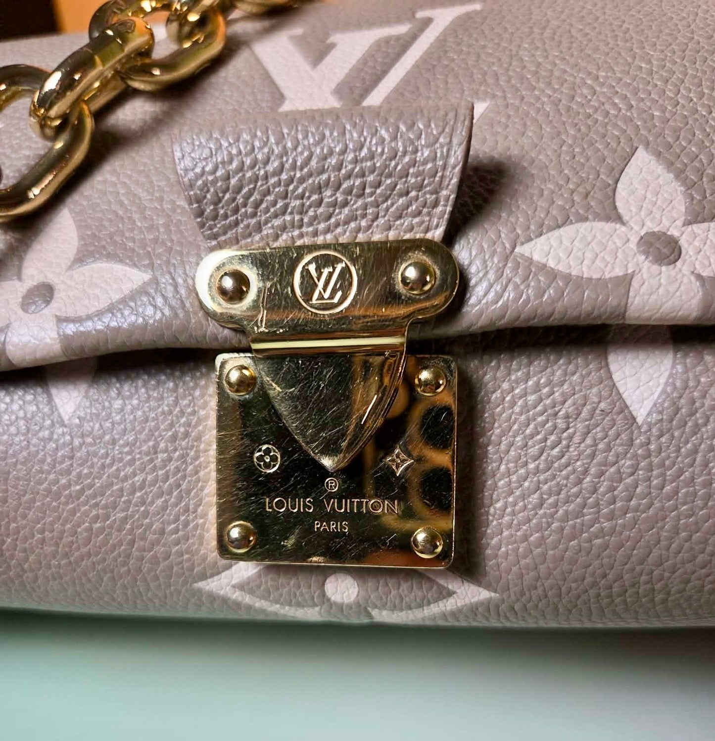 Louis Vuitton Favorite