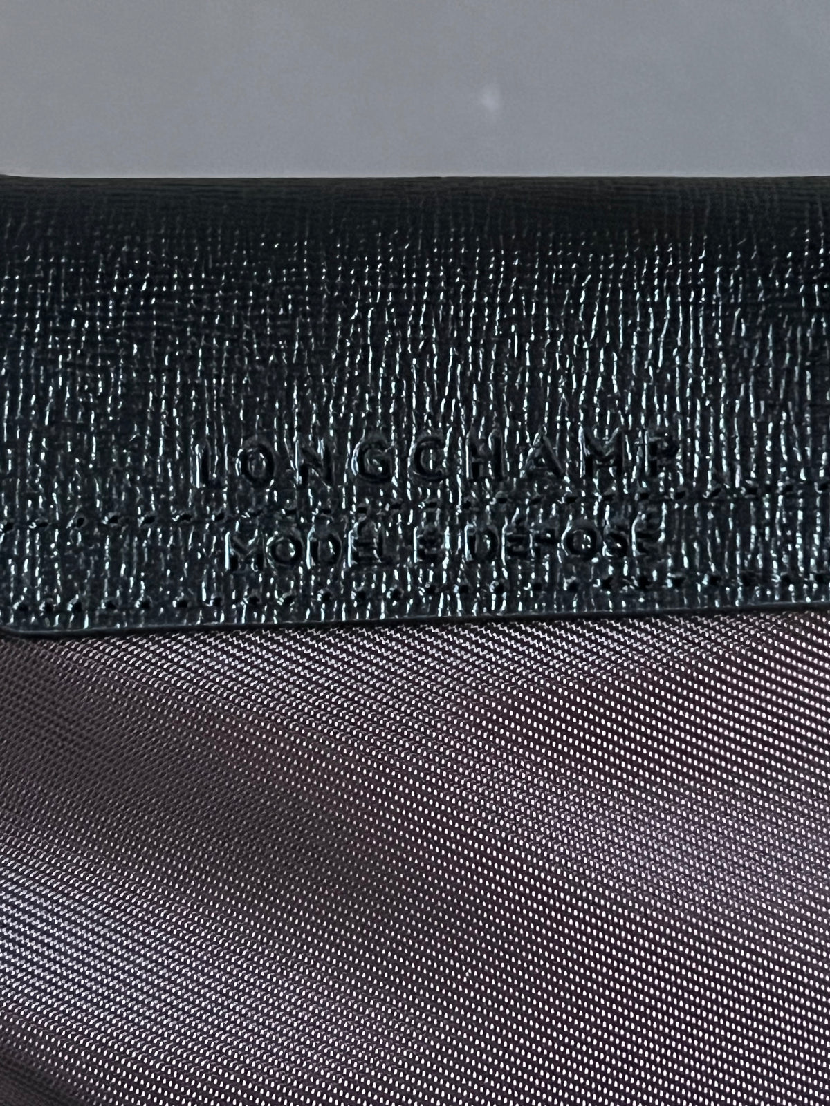 Longchamp Le Pliage Energy XS Handbag