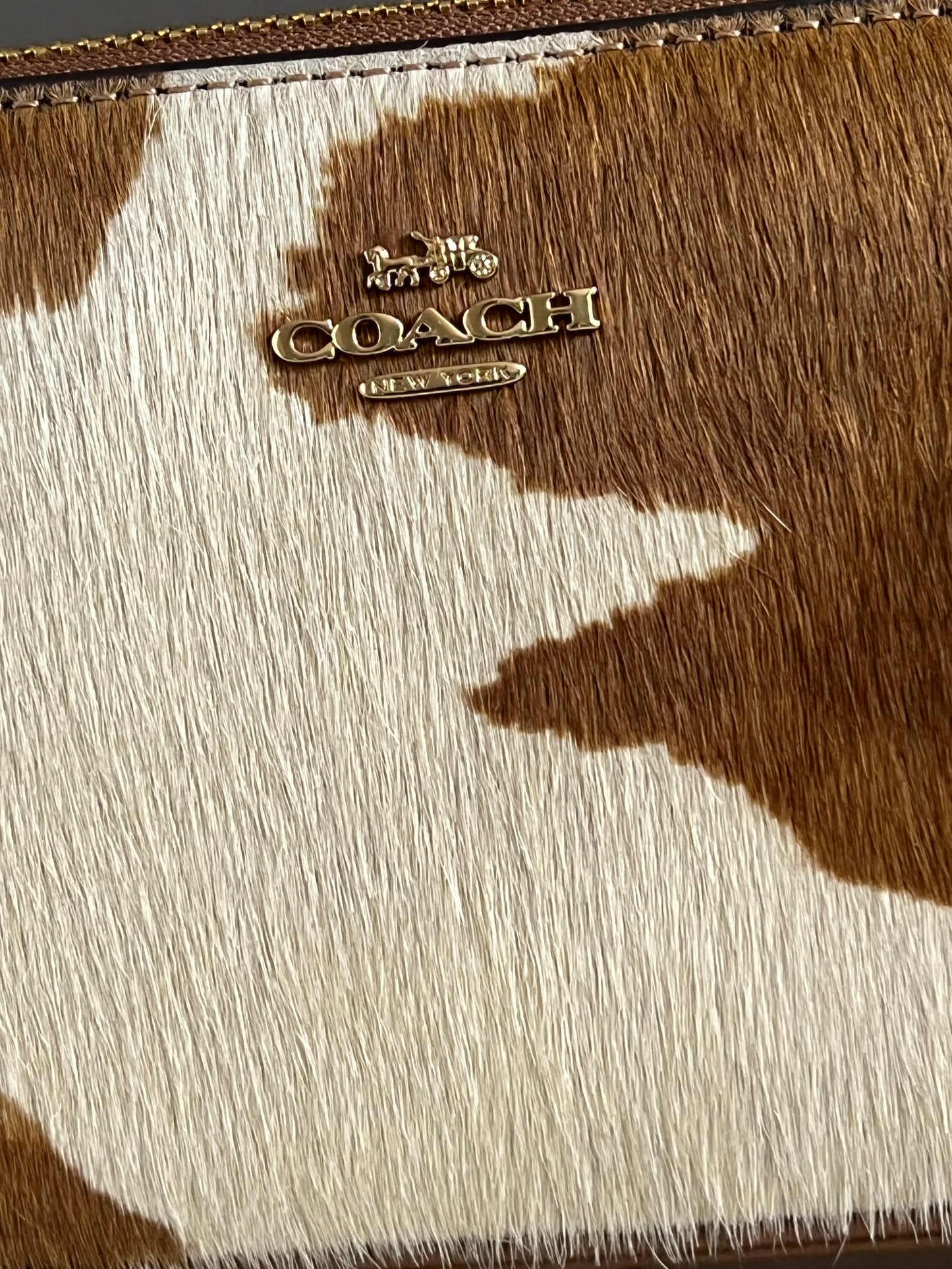 Coach Nolita 19 in Haircalf with Cow Print