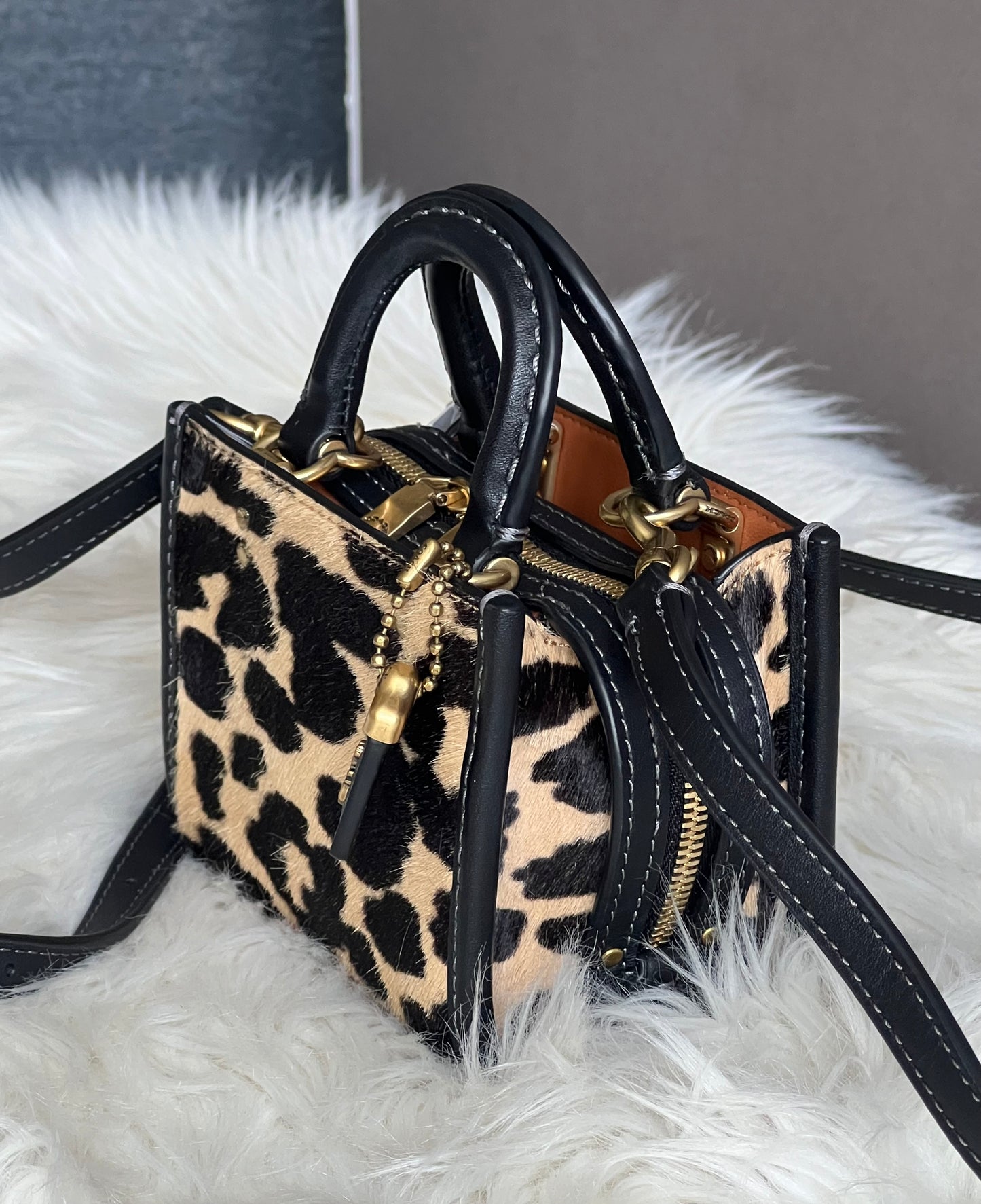 Coach Rogue 12 in Haircalf with Leopard Print