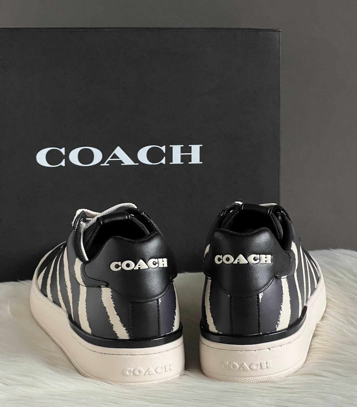 Coach Lowline Low Top Sneaker with Print