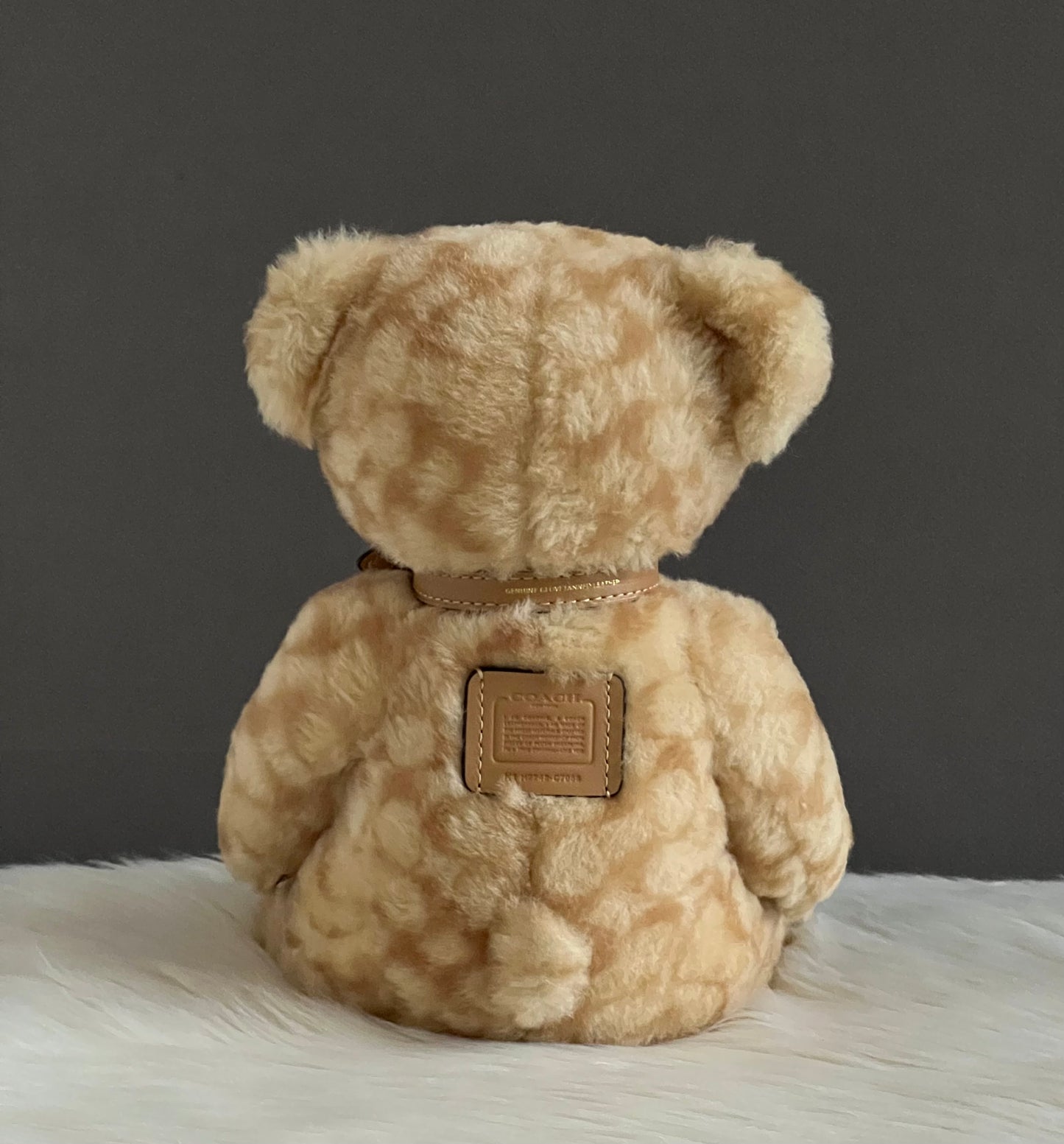 Coach Bear Collectible in Signature Shearling