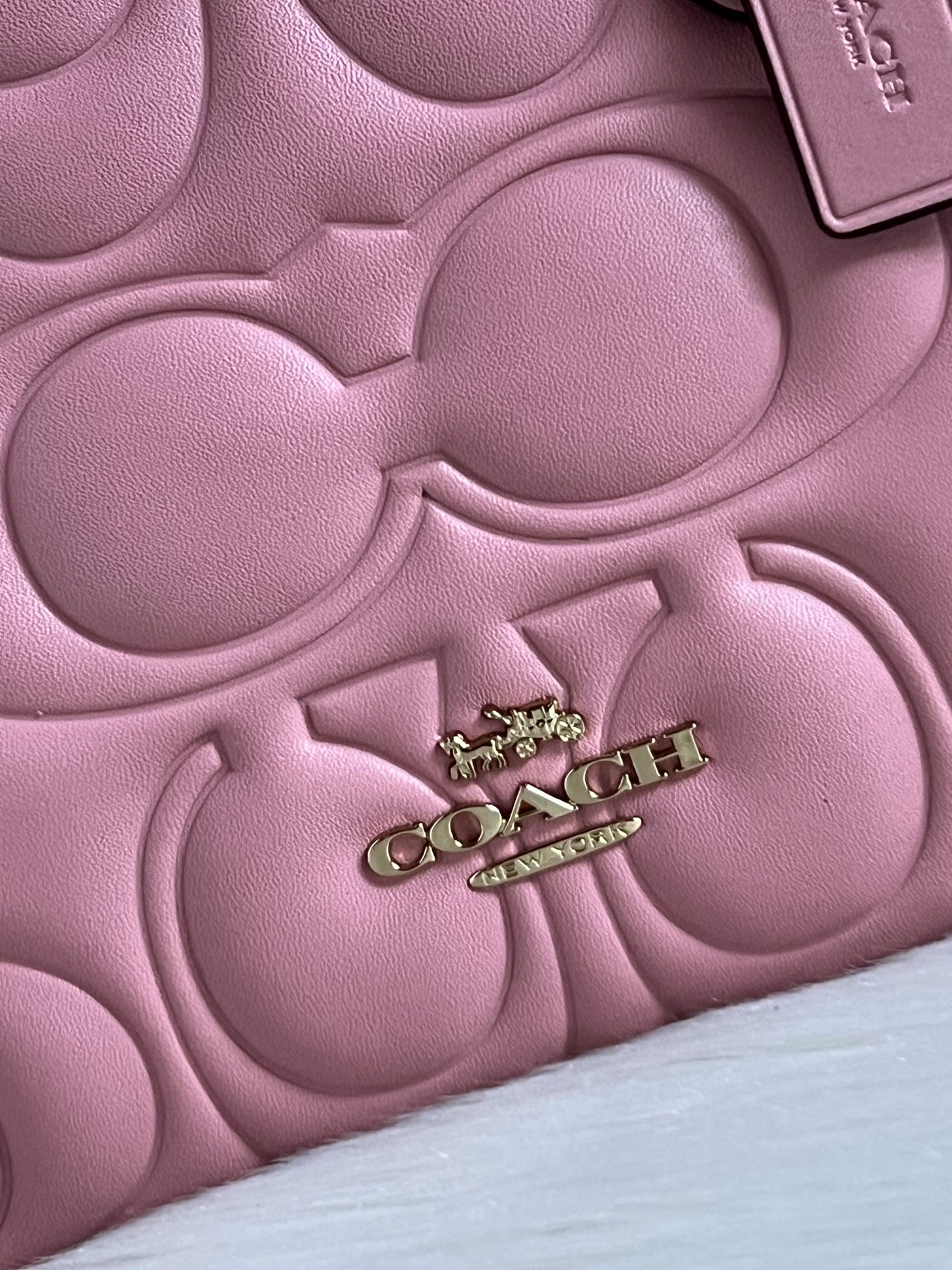 Coach Maggie Small Tote Bag