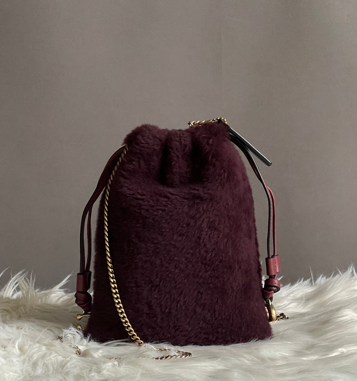 Coach Drawstring Pouch in Shearling