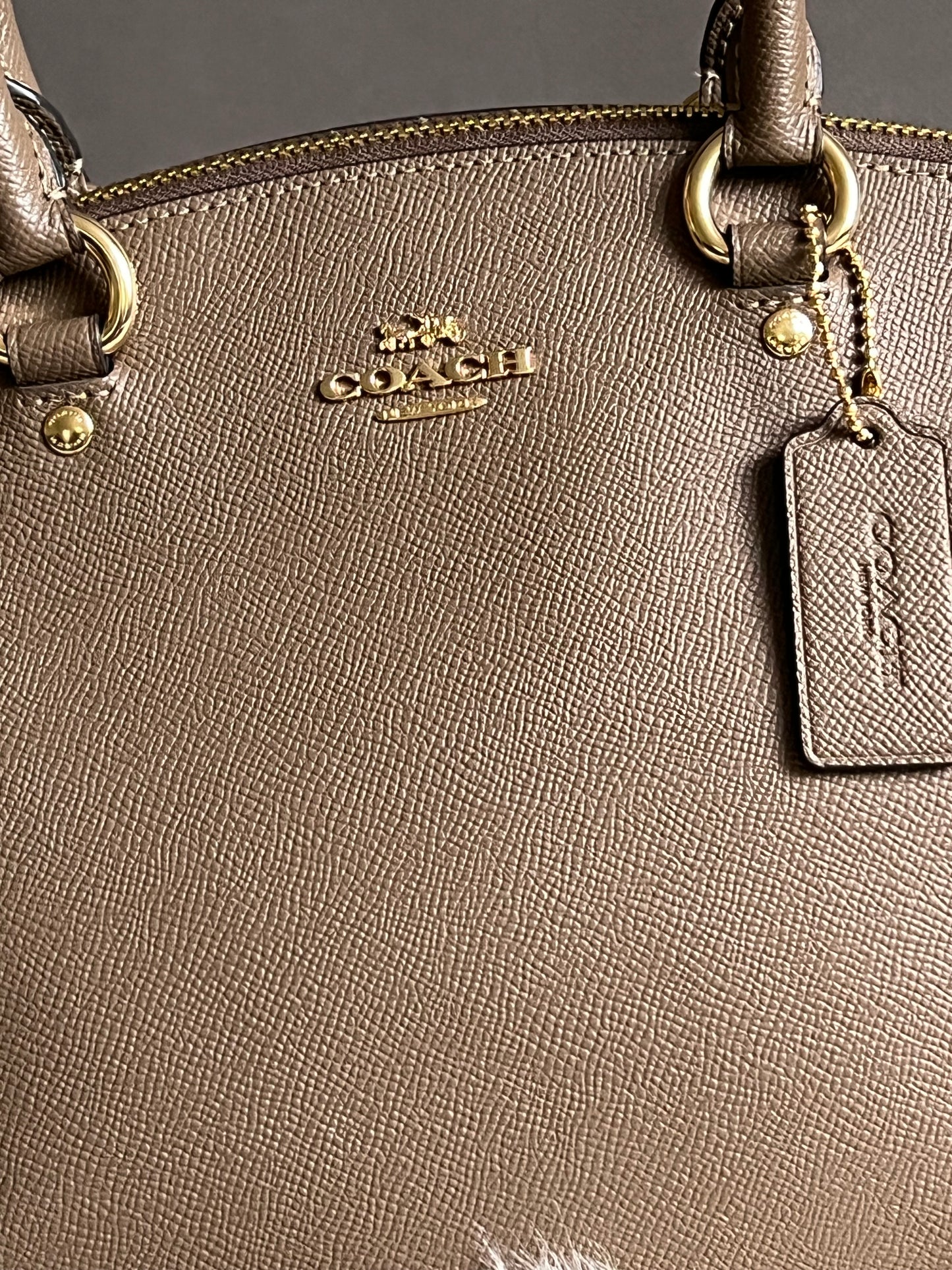 Coach Sadie Satchel Bag