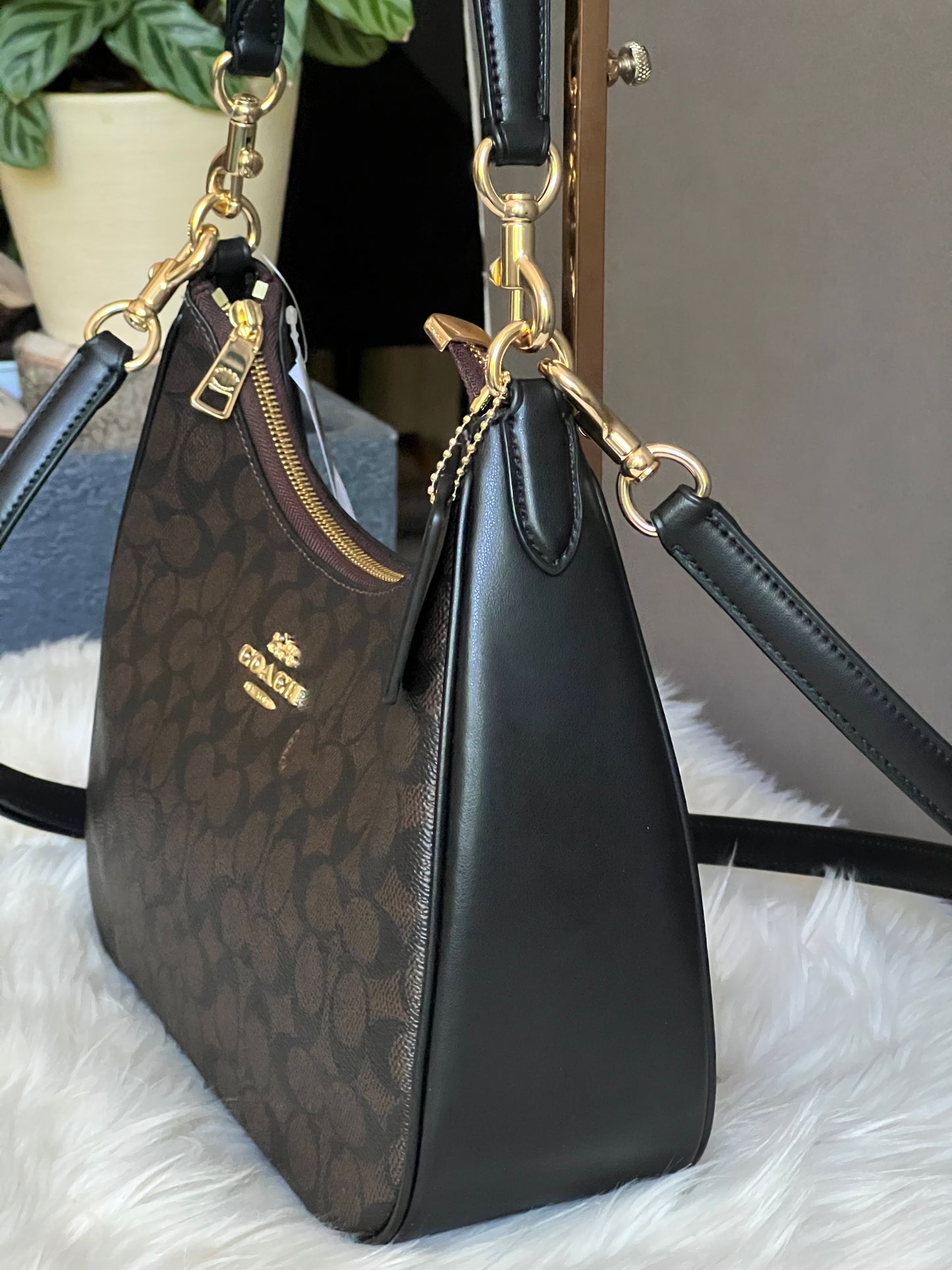 Coach Teri Hobo Bag in Signature Canvas