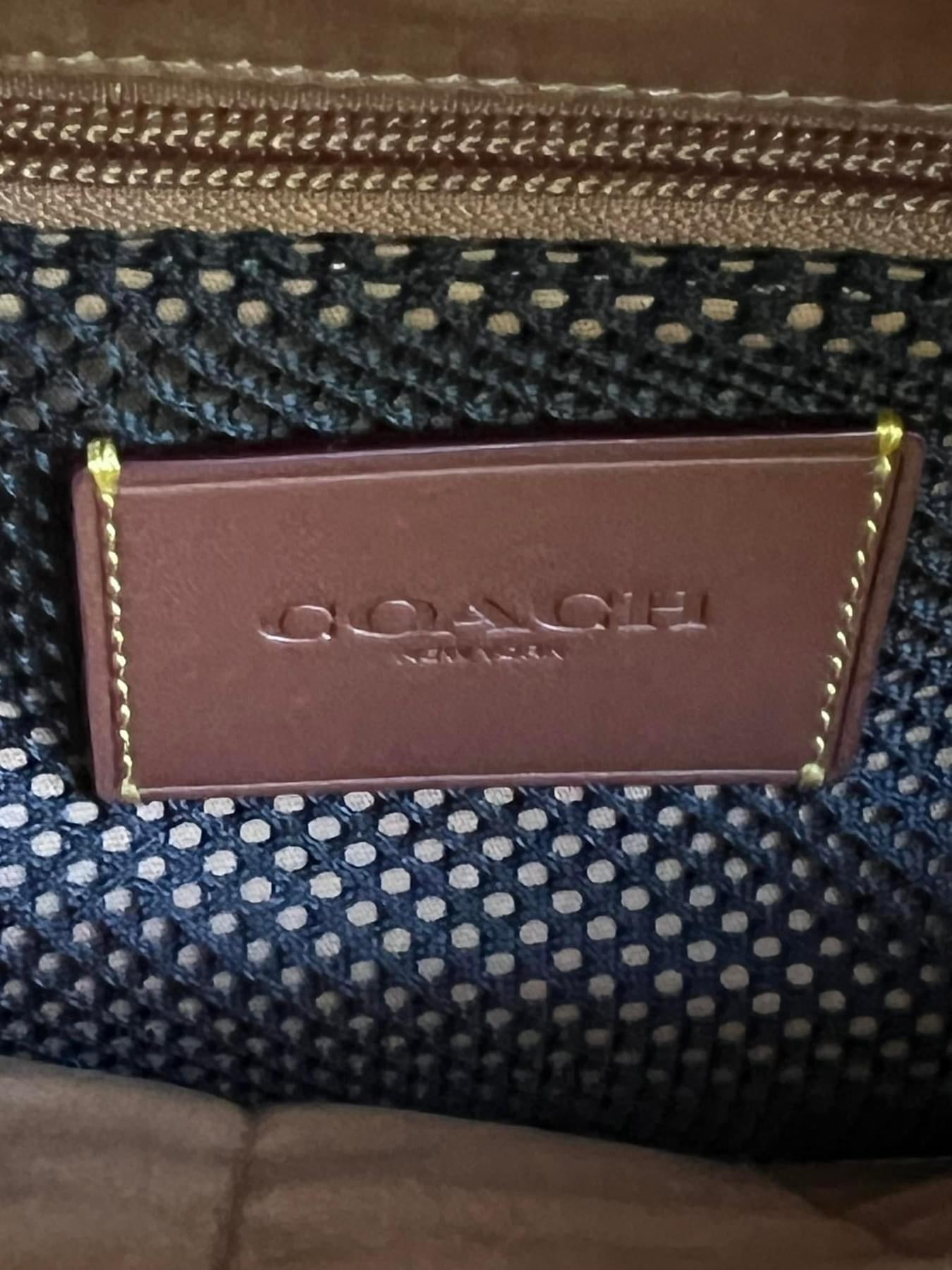 Coach Charter Backpack In Signature Shearling