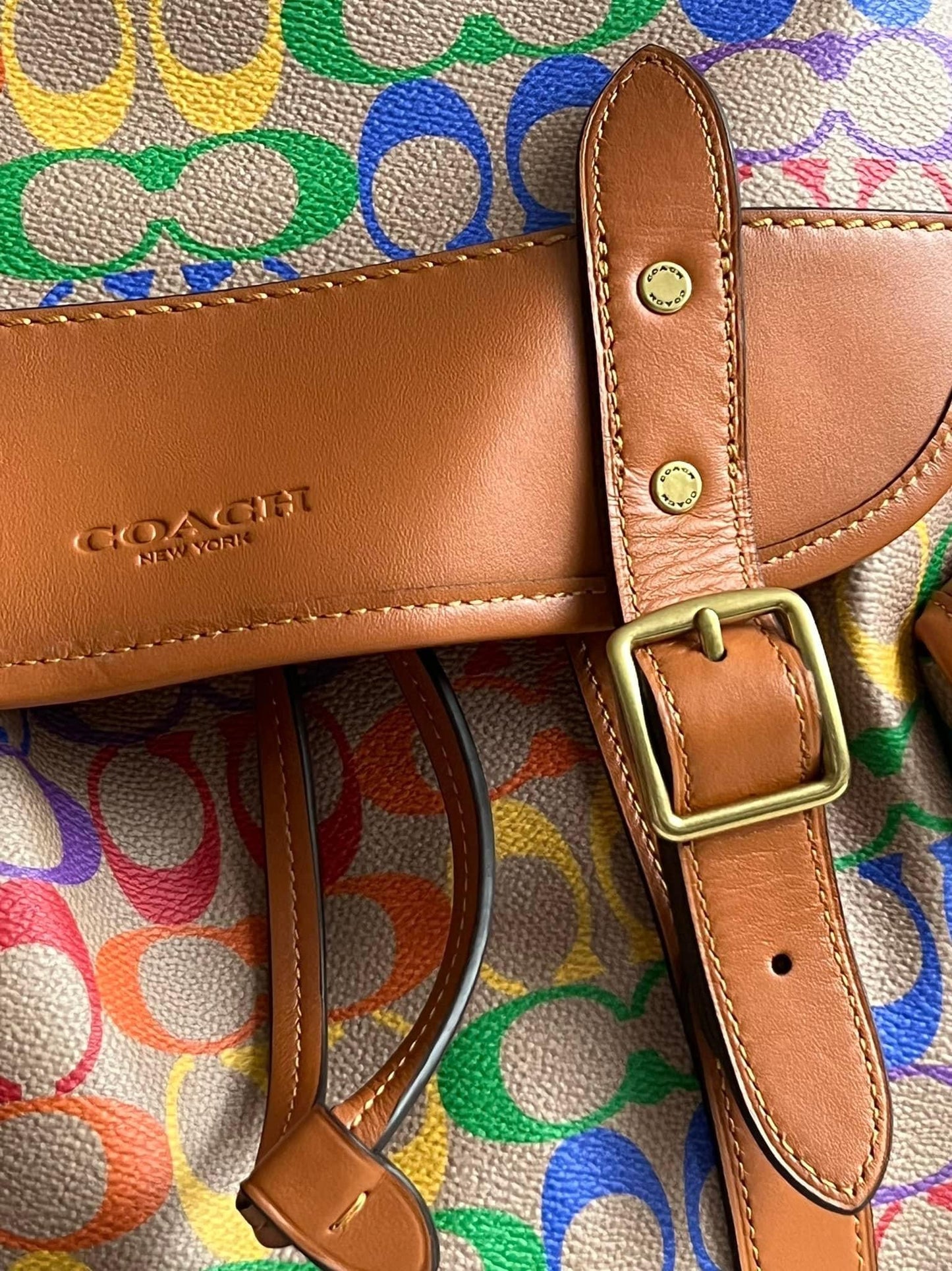 Coach Hitch Backpack in Rainbow Signature Canvas