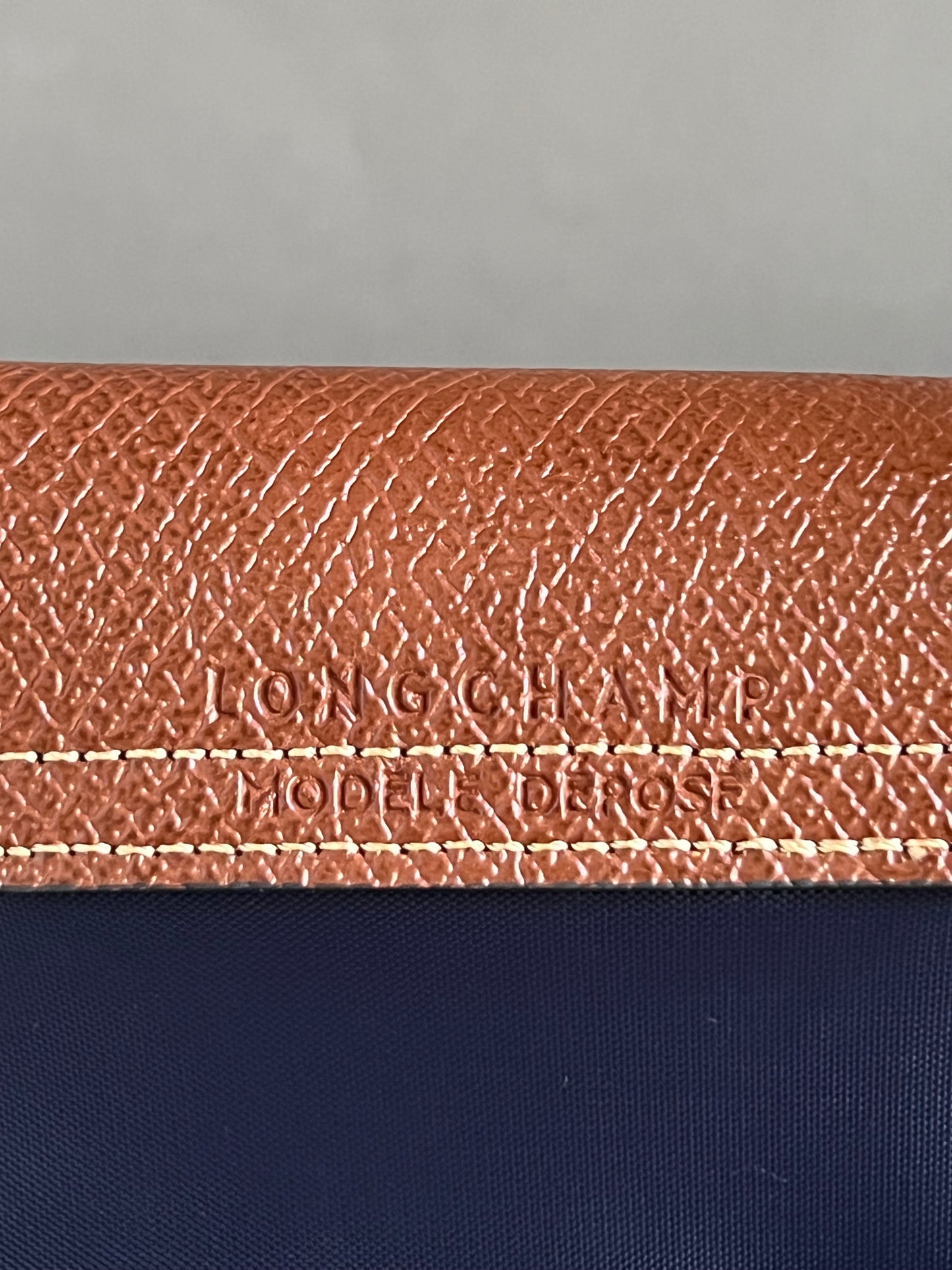 Longchamp XS Le Pliage Original Pouch with Strap