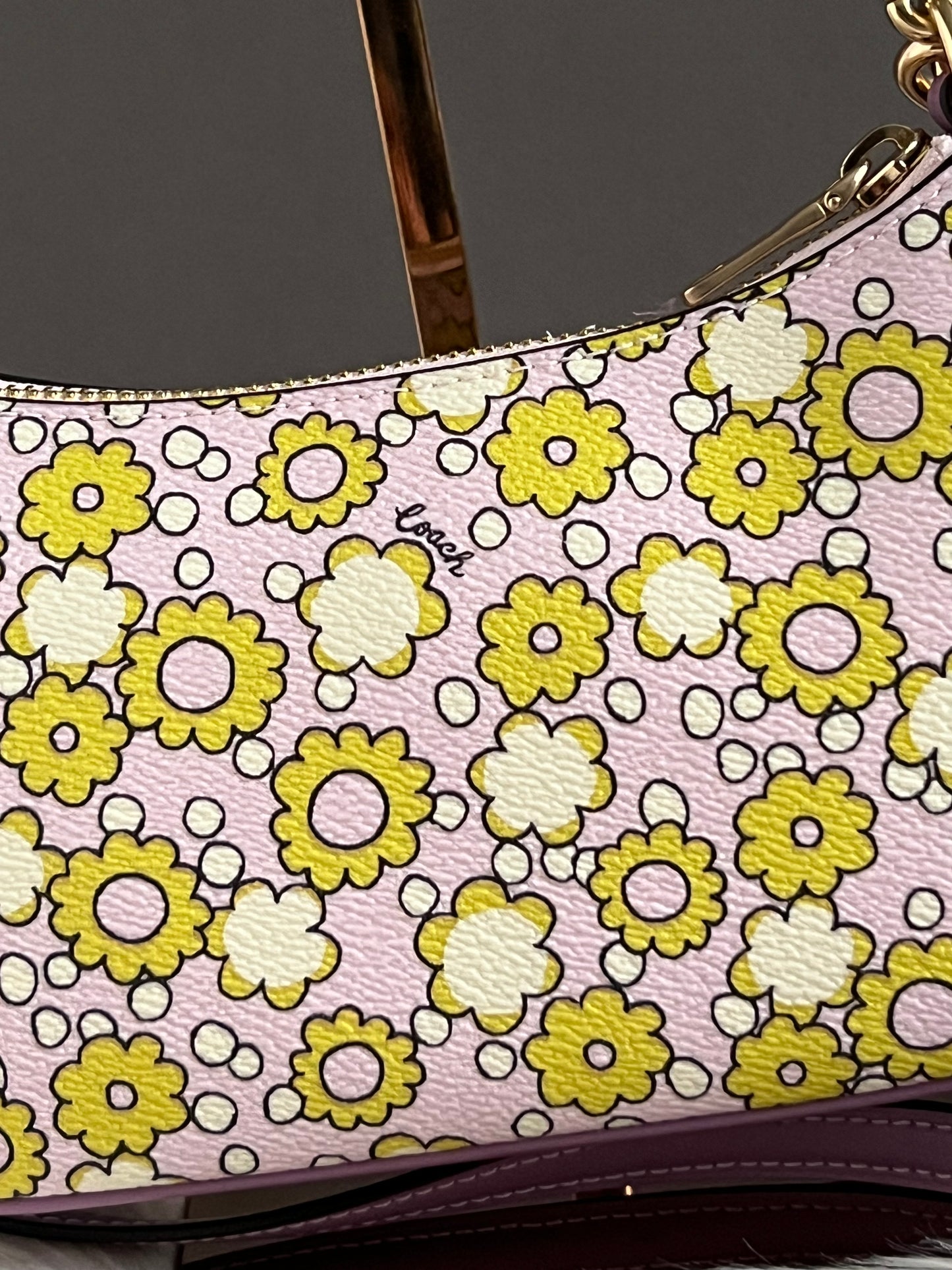 Coach Teri Mini Crossbody Bag With Floral Print