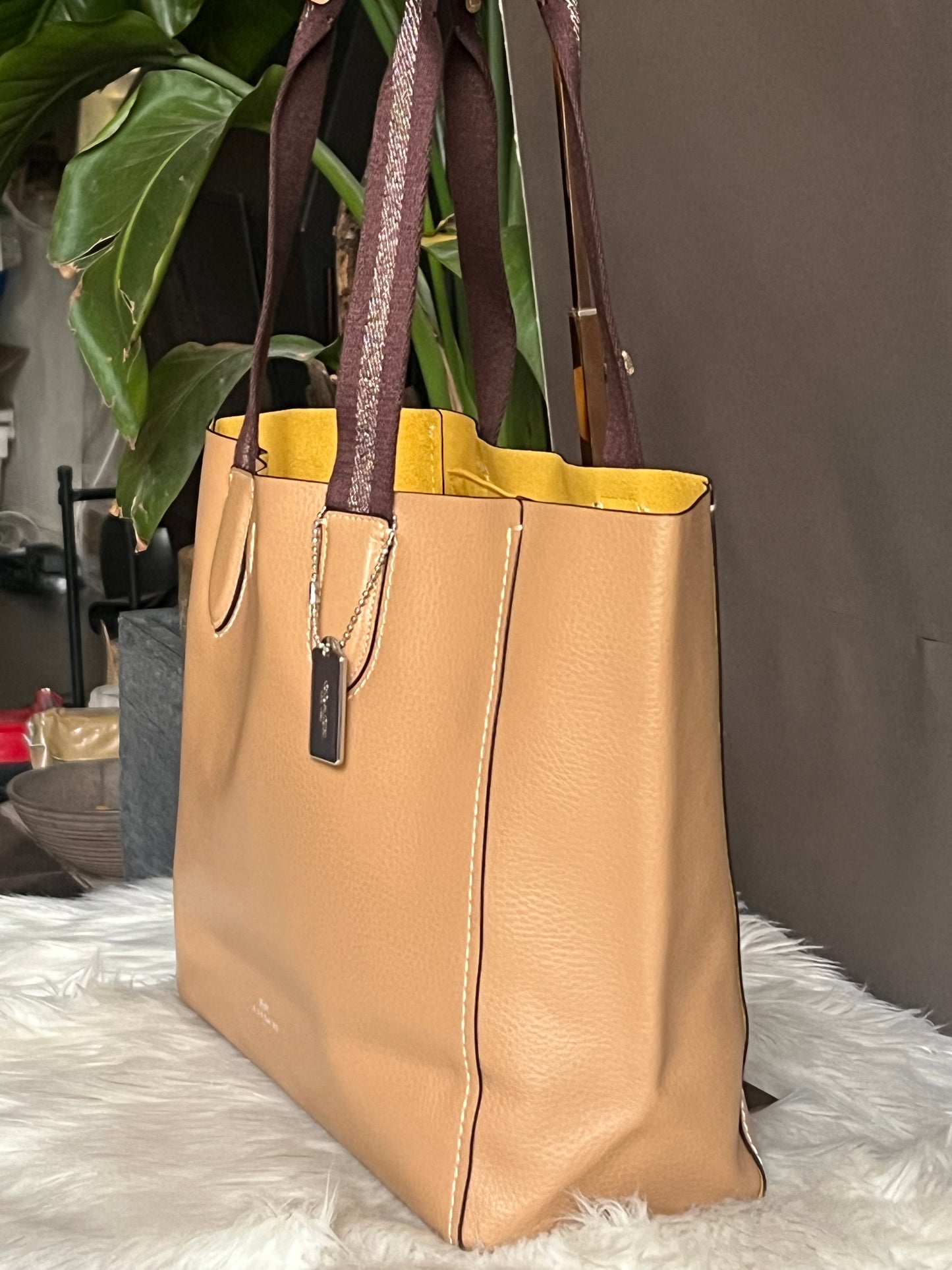 Coach Derby Tote