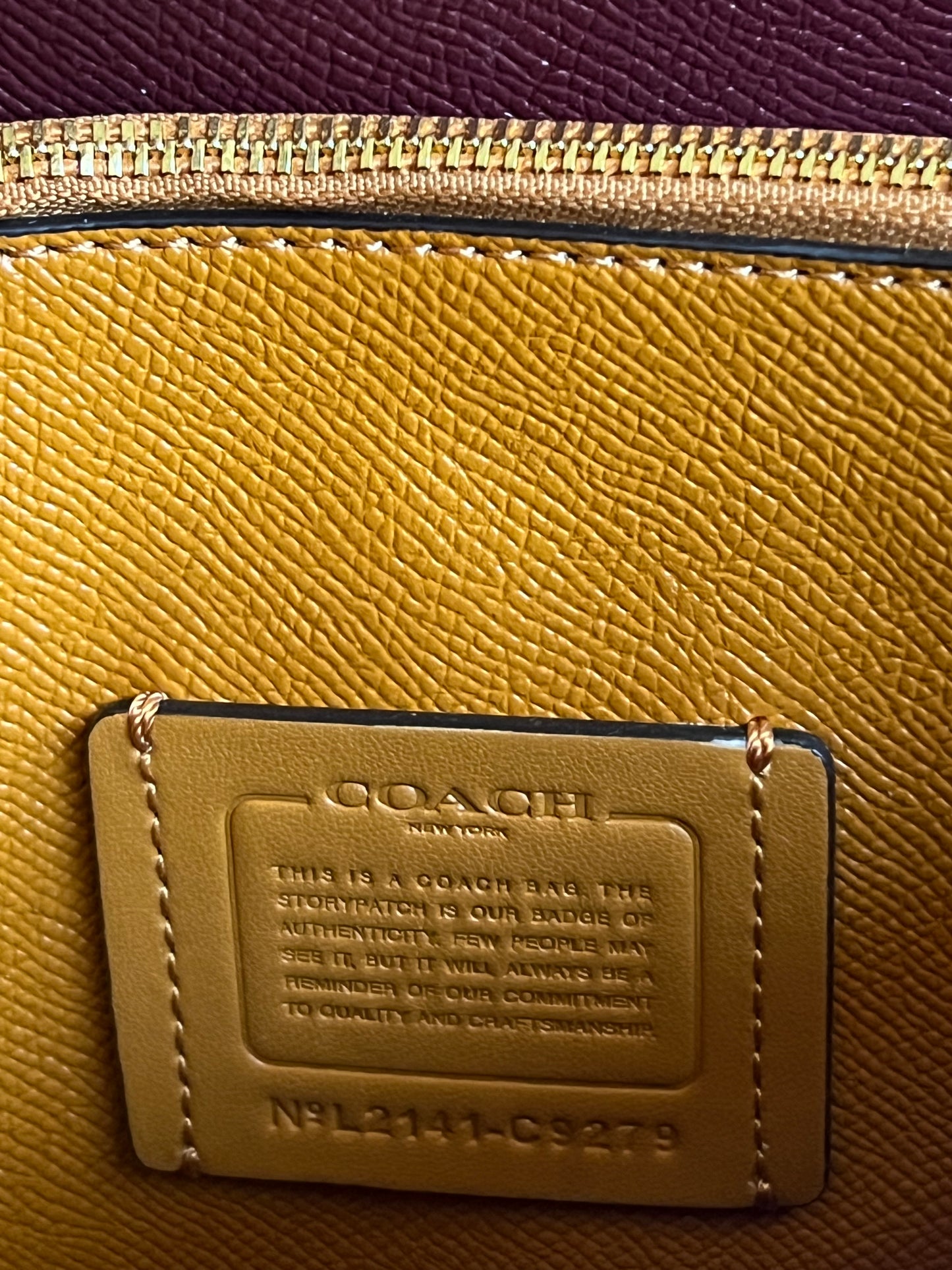 Coach Mollie Tote 25