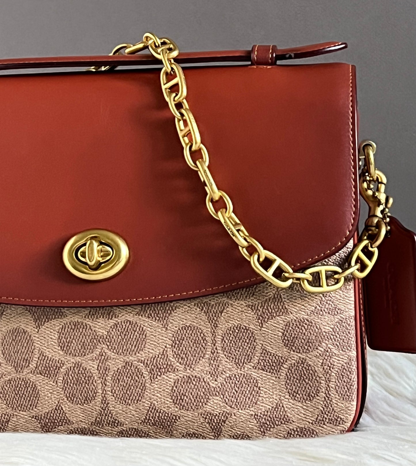 Coach Metal Chain Strap