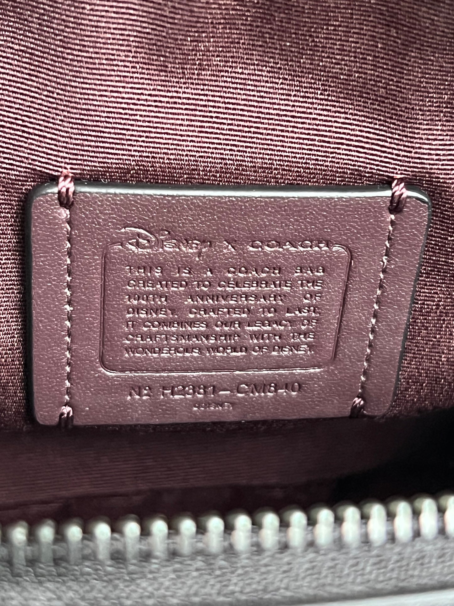 Disney X Coach Mickey Mouse Ear Bag