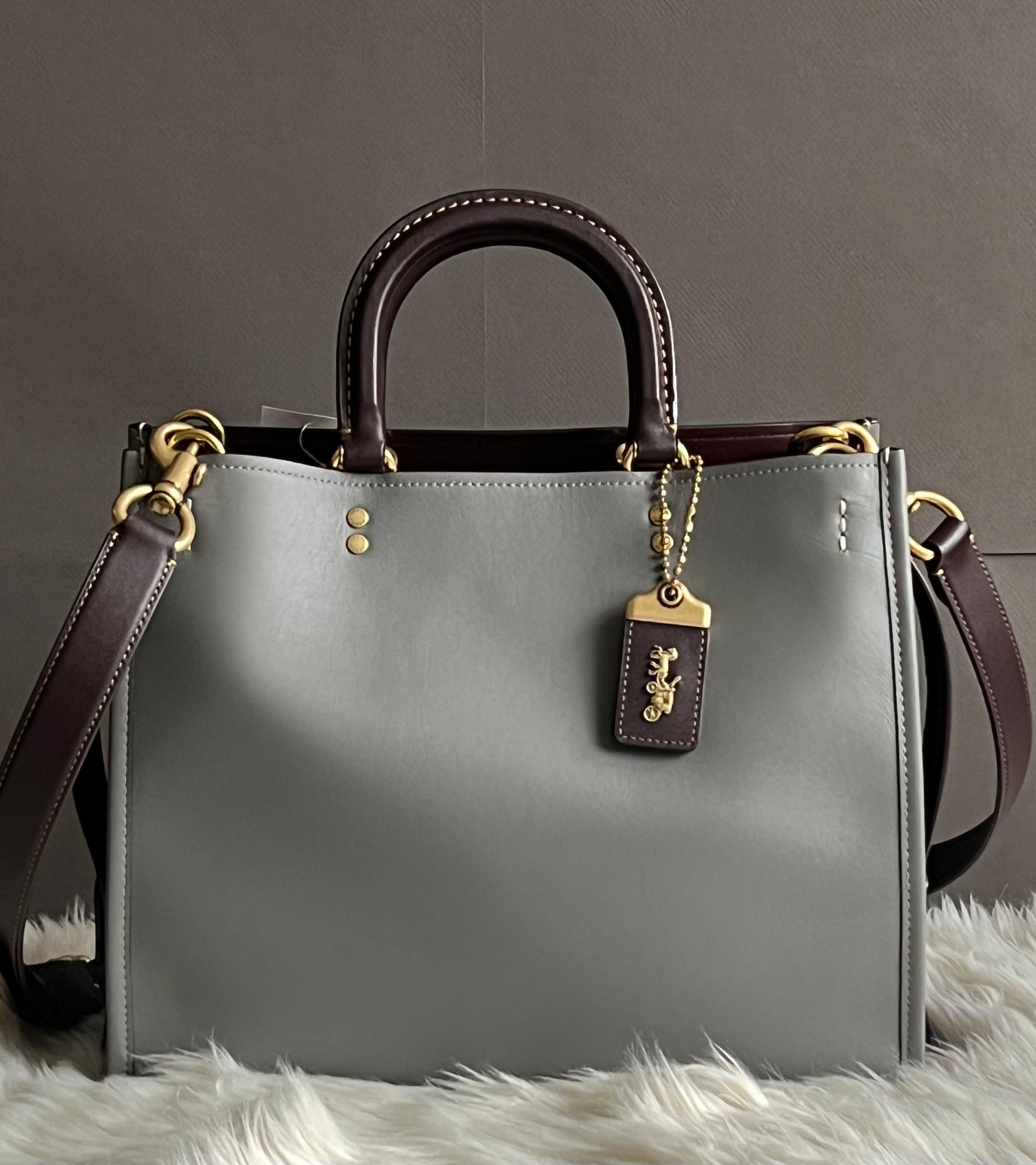 Coach Rogue in Colorblock – Club de Mode