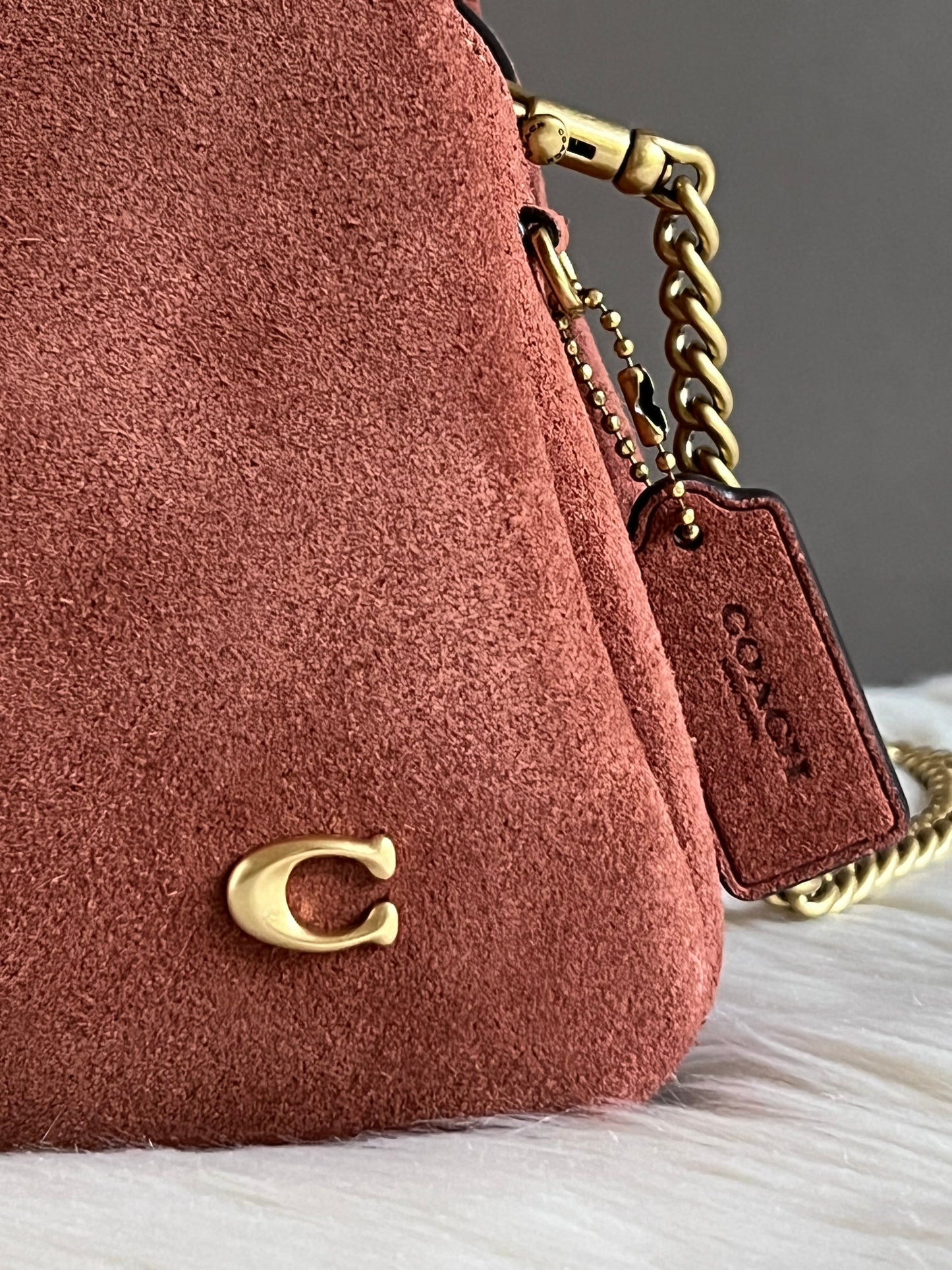 Coach Lana Shoulder Bag 19