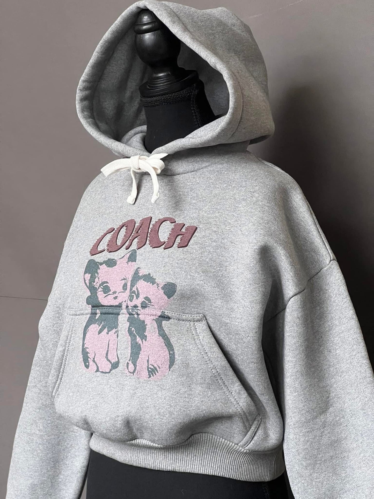 Coach The Lil Nas X Drop Cats Cropped Pullover Hoodie