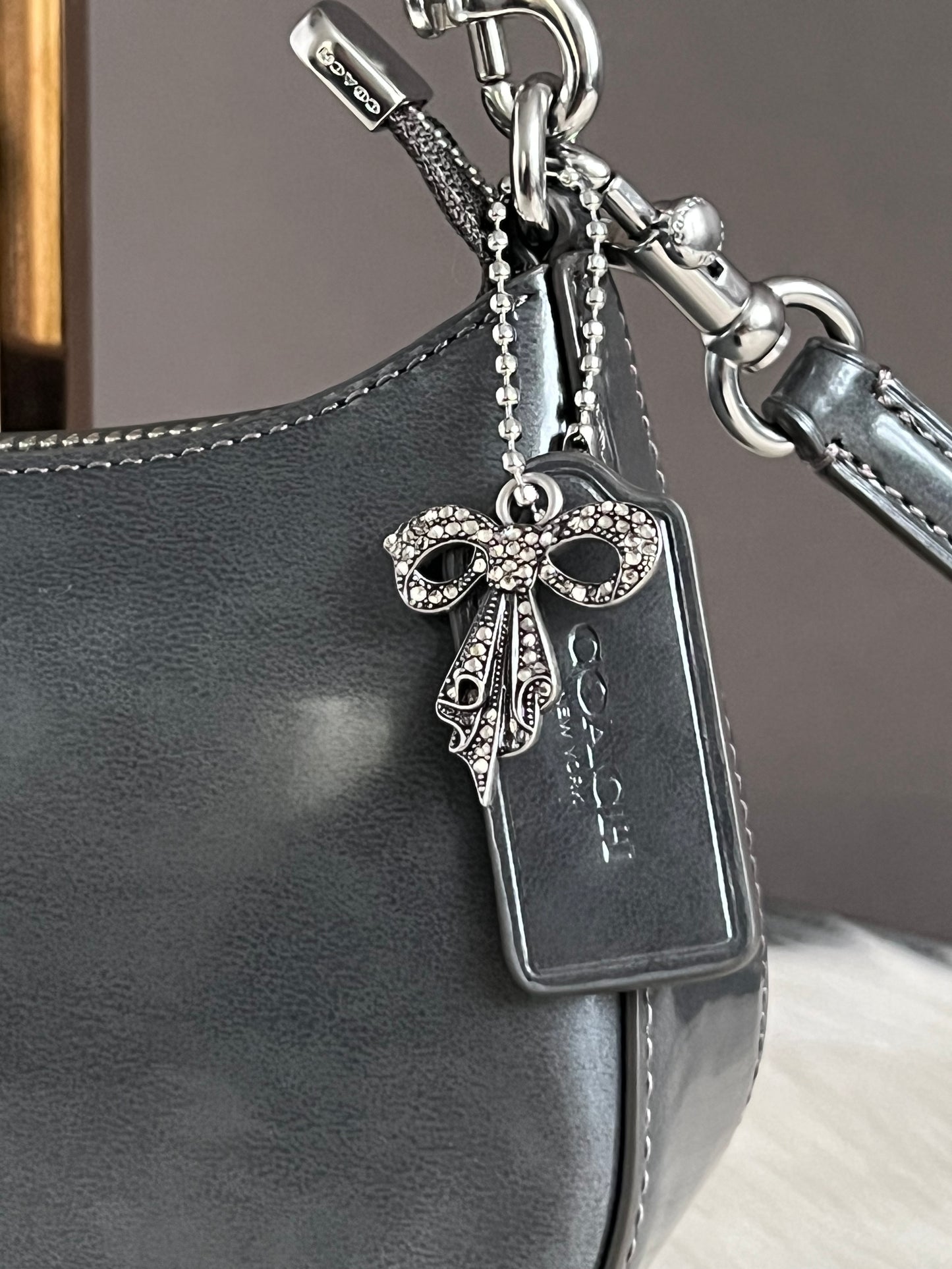 Coach Teri Mini Crossbody Bag