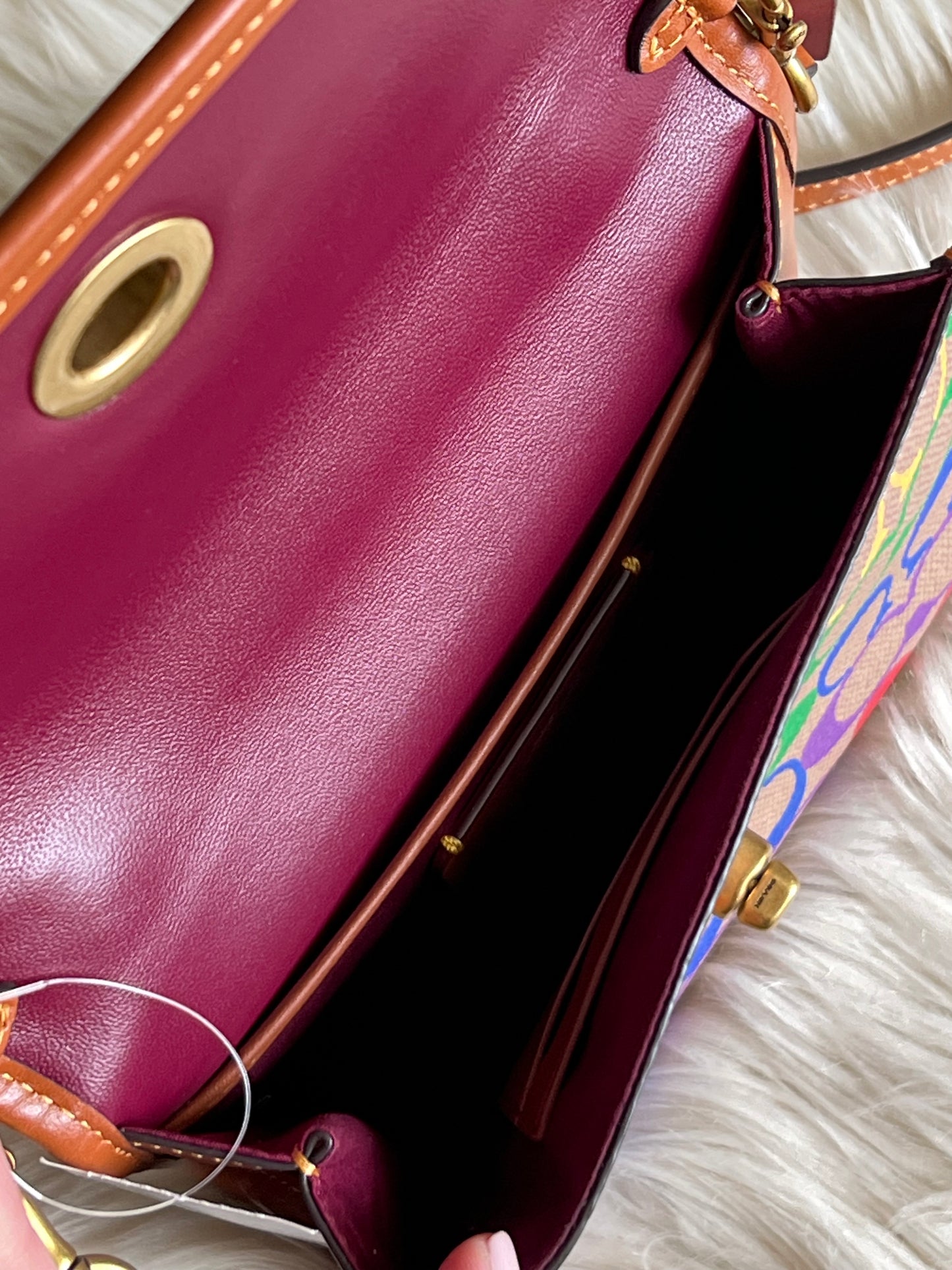 Coach Kip Turnlock Crossbody in Rainbow Signature Canvas