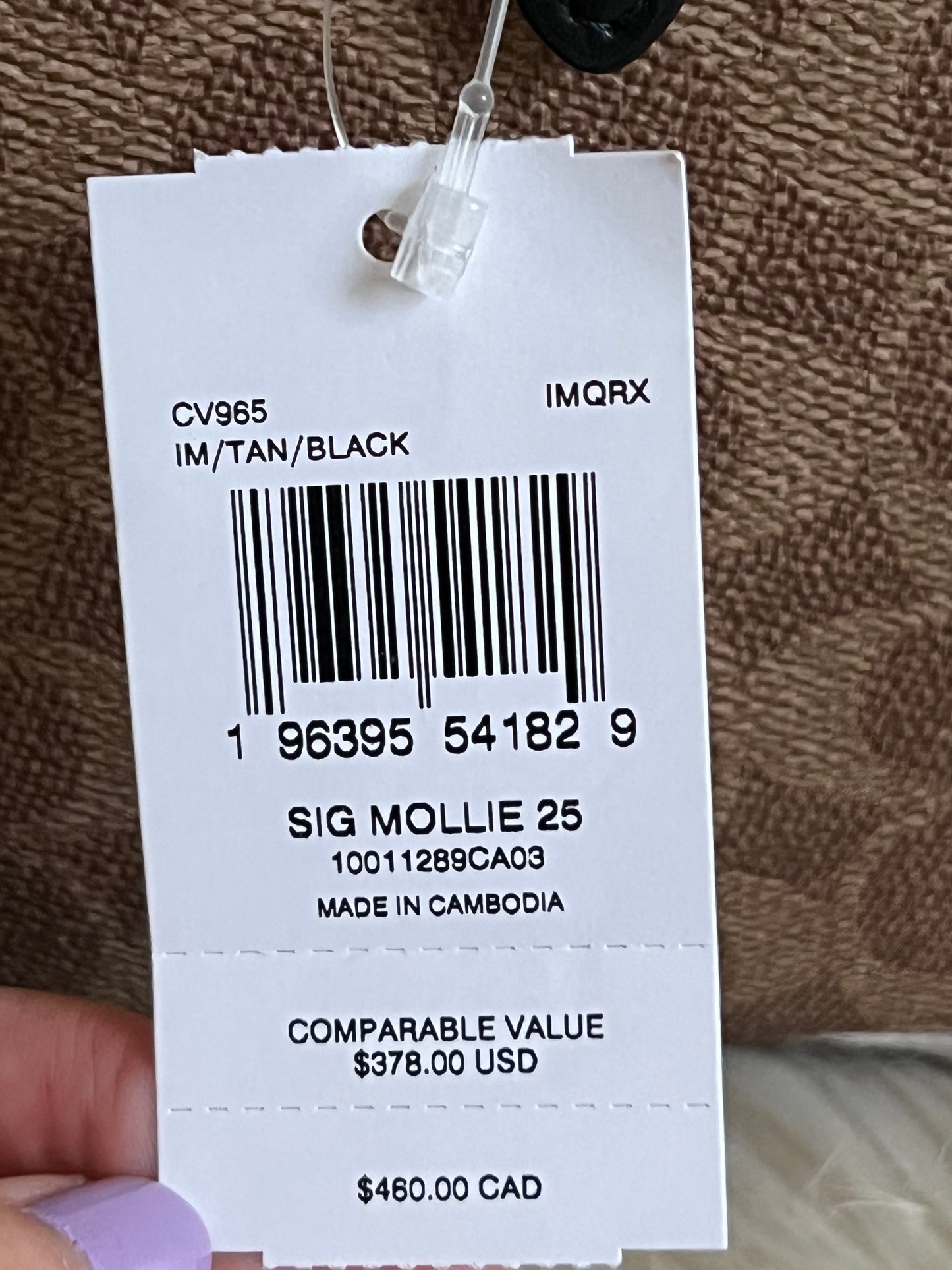 Coach Mollie Tote Bag 25 in Signature Canvas