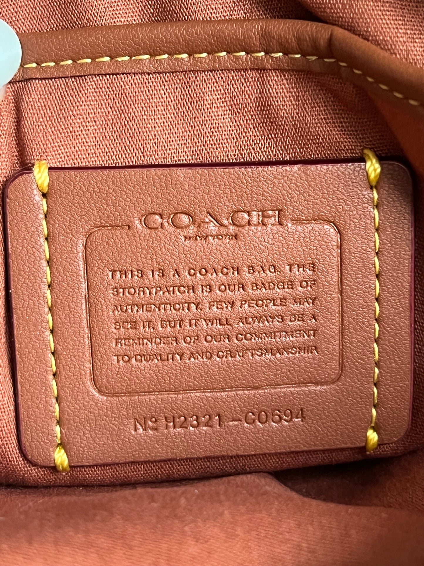 Coach Willow Camera Bag in Signature Canvas