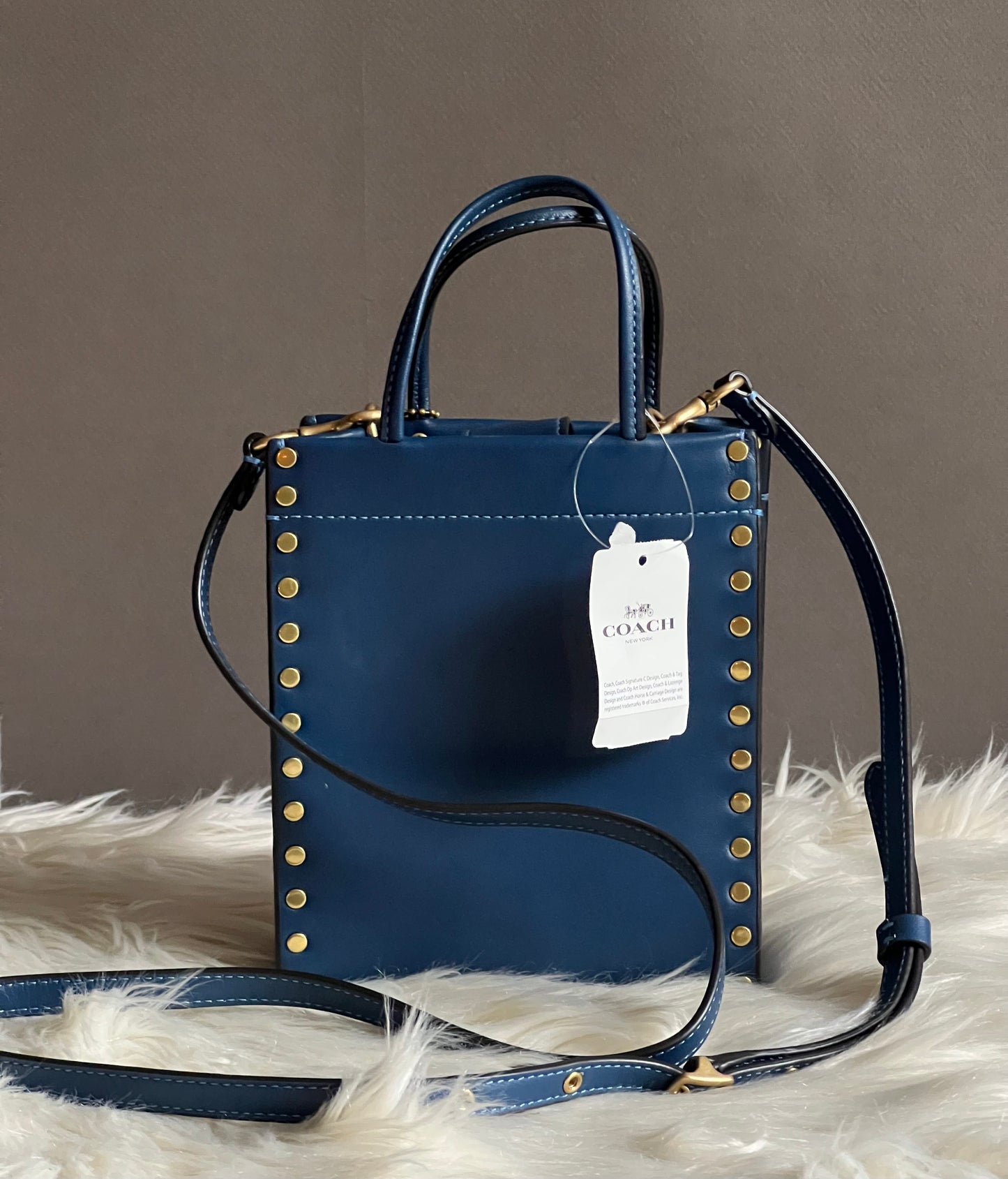 Coach Mini Cashin Tote with Rivets