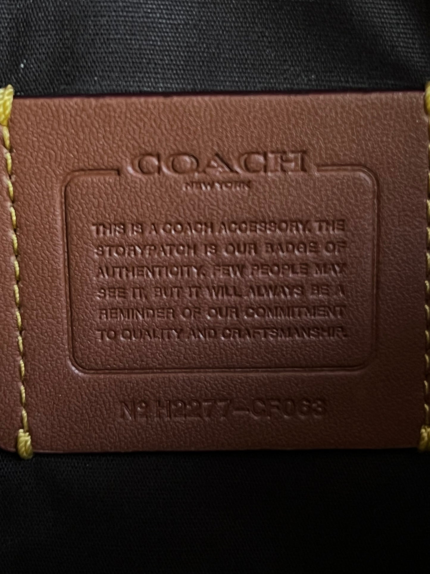 Coach Charter Pouch in Signature Canvas with Rexy Print