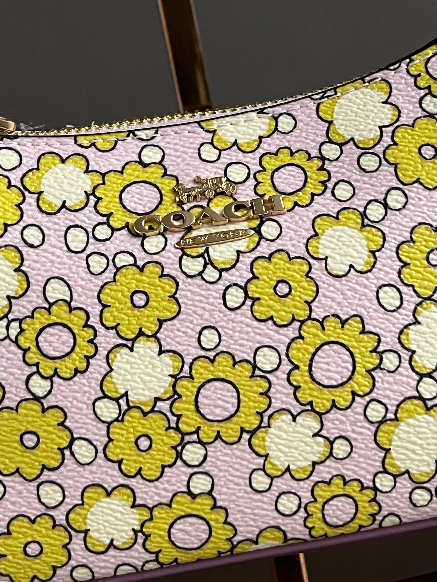 Coach Teri Mini Crossbody Bag With Floral Print