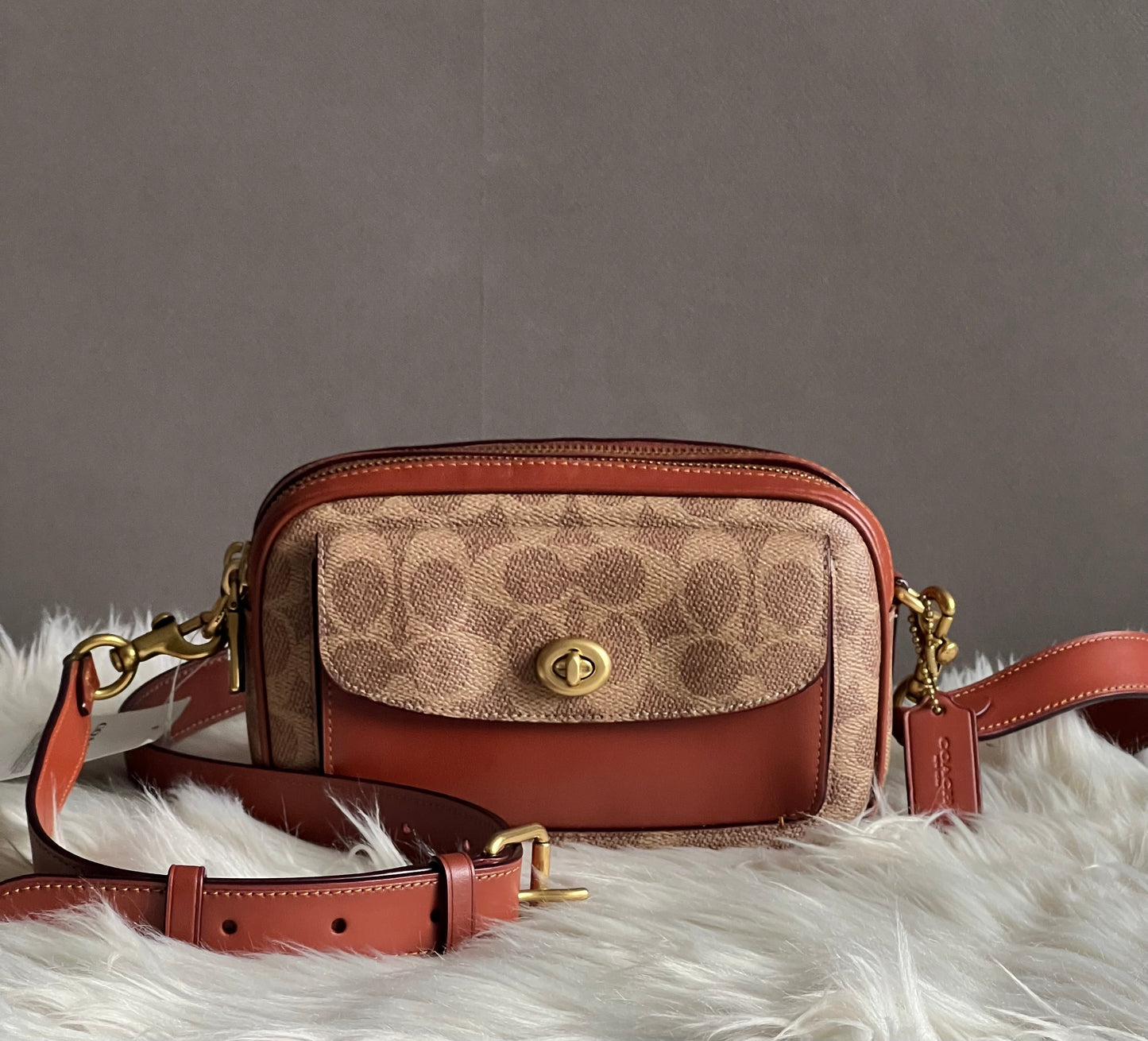 Coach Willow Camera Bag in Signature Canvas