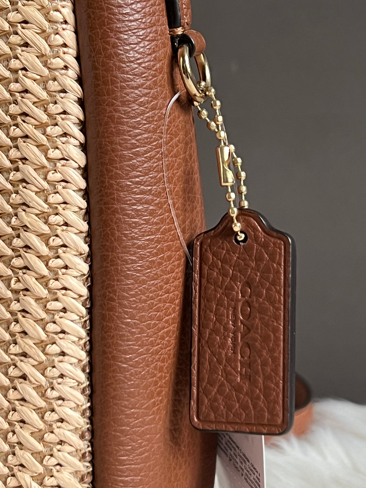 Coach Hadley Mini Crossbody Bag In Straw