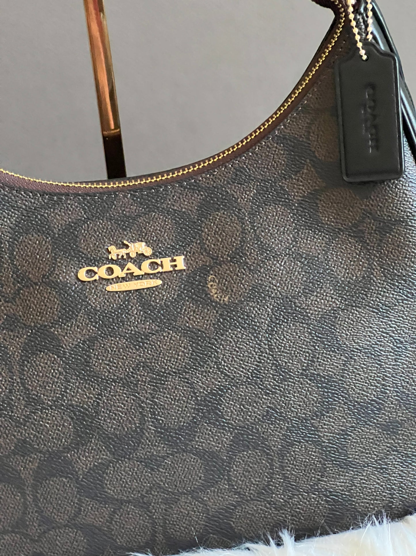 Coach Teri Hobo Bag in Signature Canvas