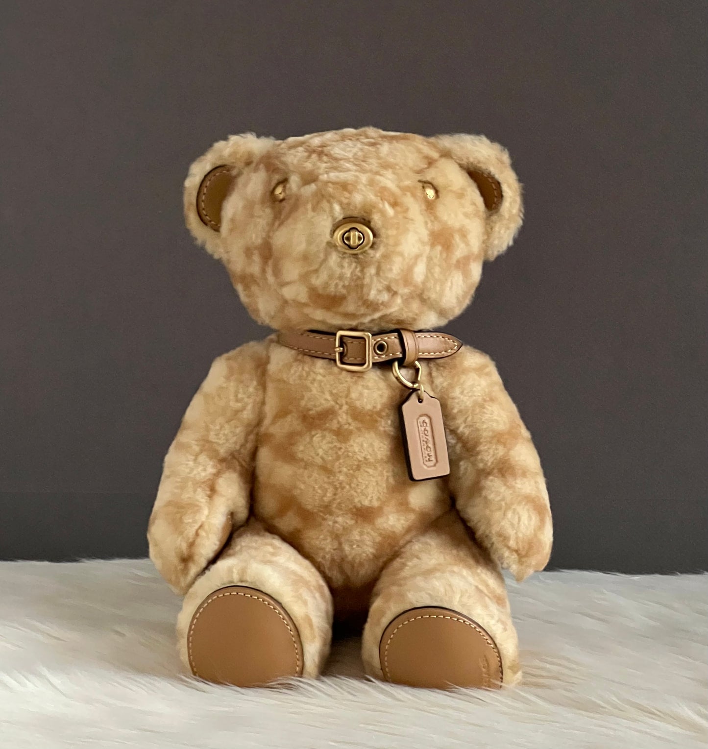 Coach Bear Collectible in Signature Shearling