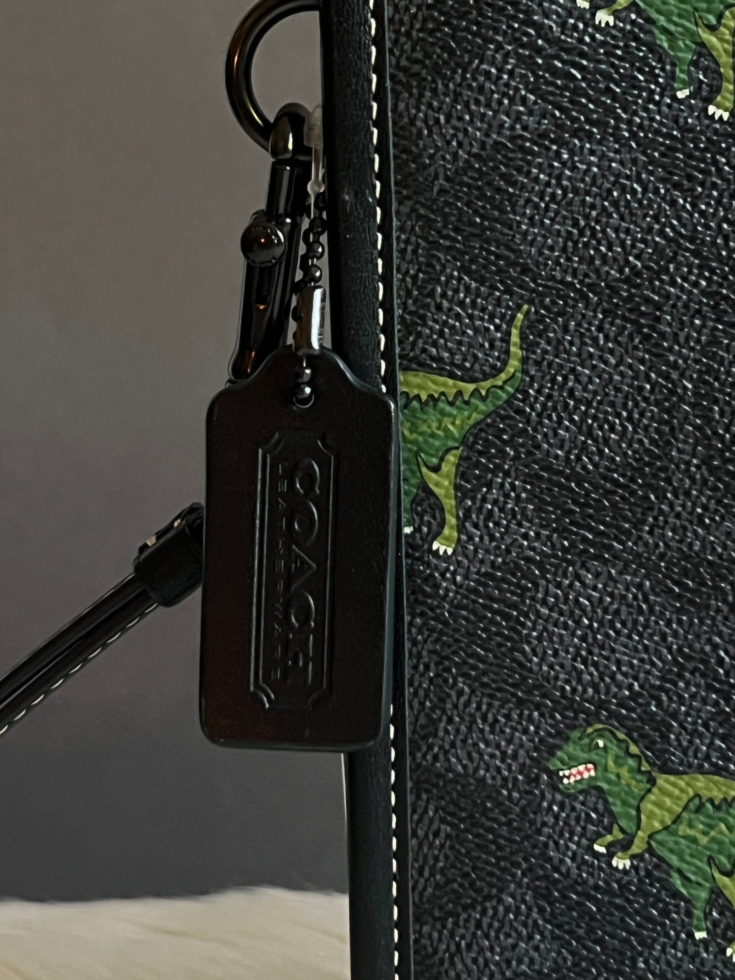 Coach Charter Pouch in Signature Canvas with Rexy Print