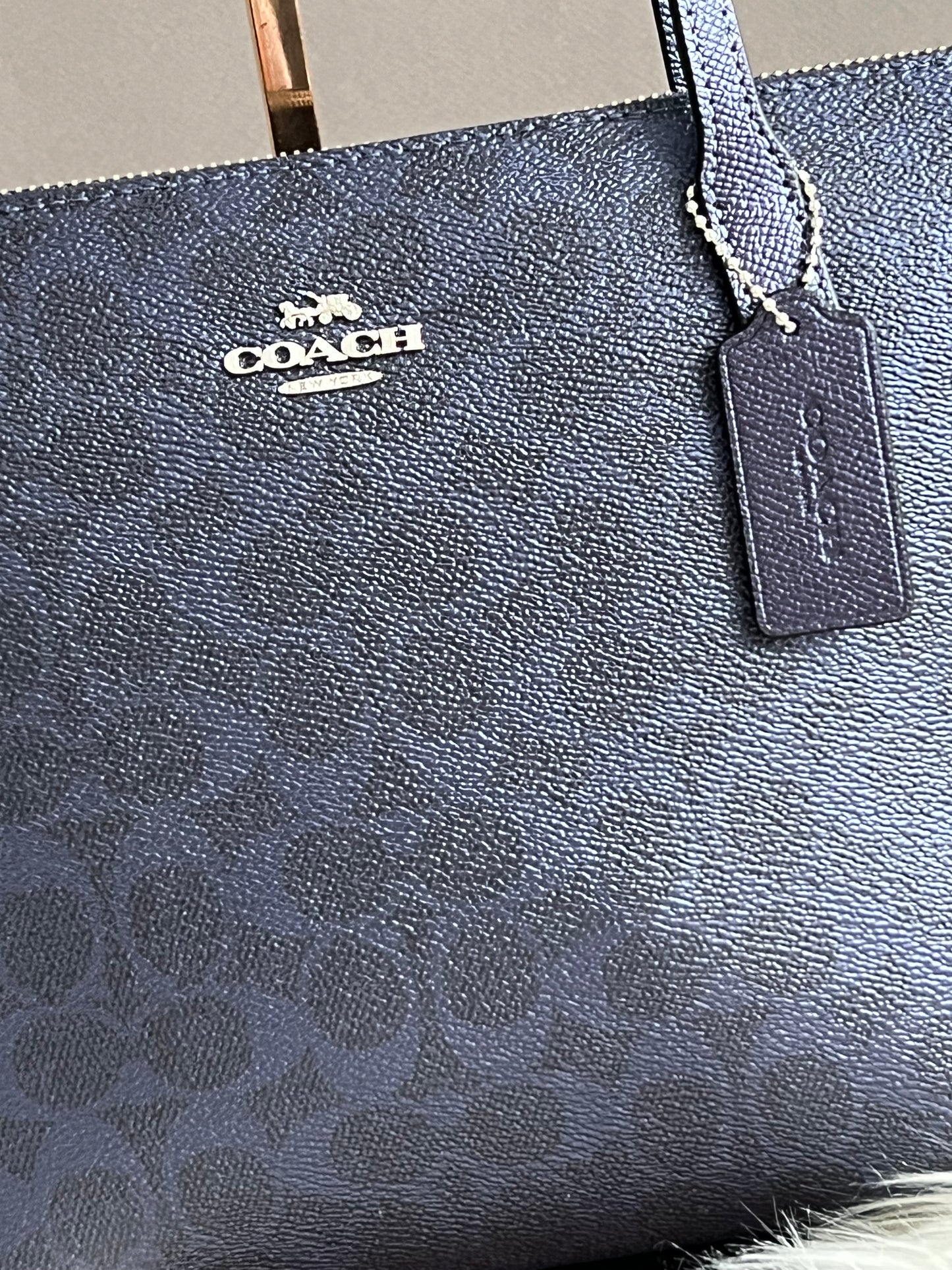 Coach Fiona Zip Tote Bag in Signature Canvas