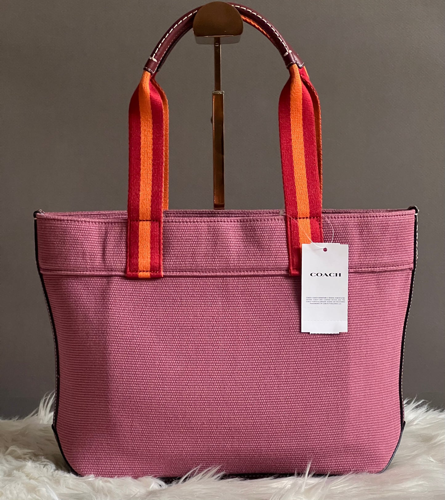 Coach Small Canvas Tote