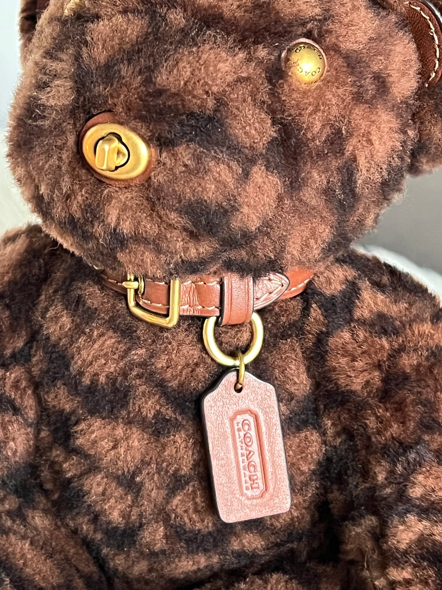 Coach Bear Collectible in Signature Shearling