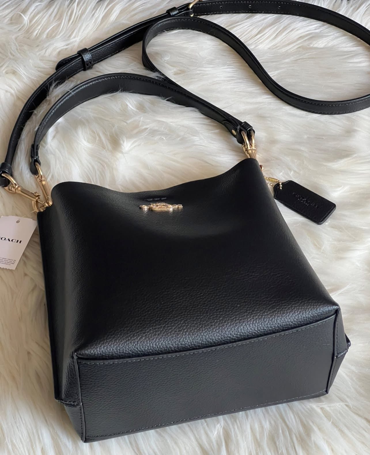 Coach Mollie Bucket Bag 22