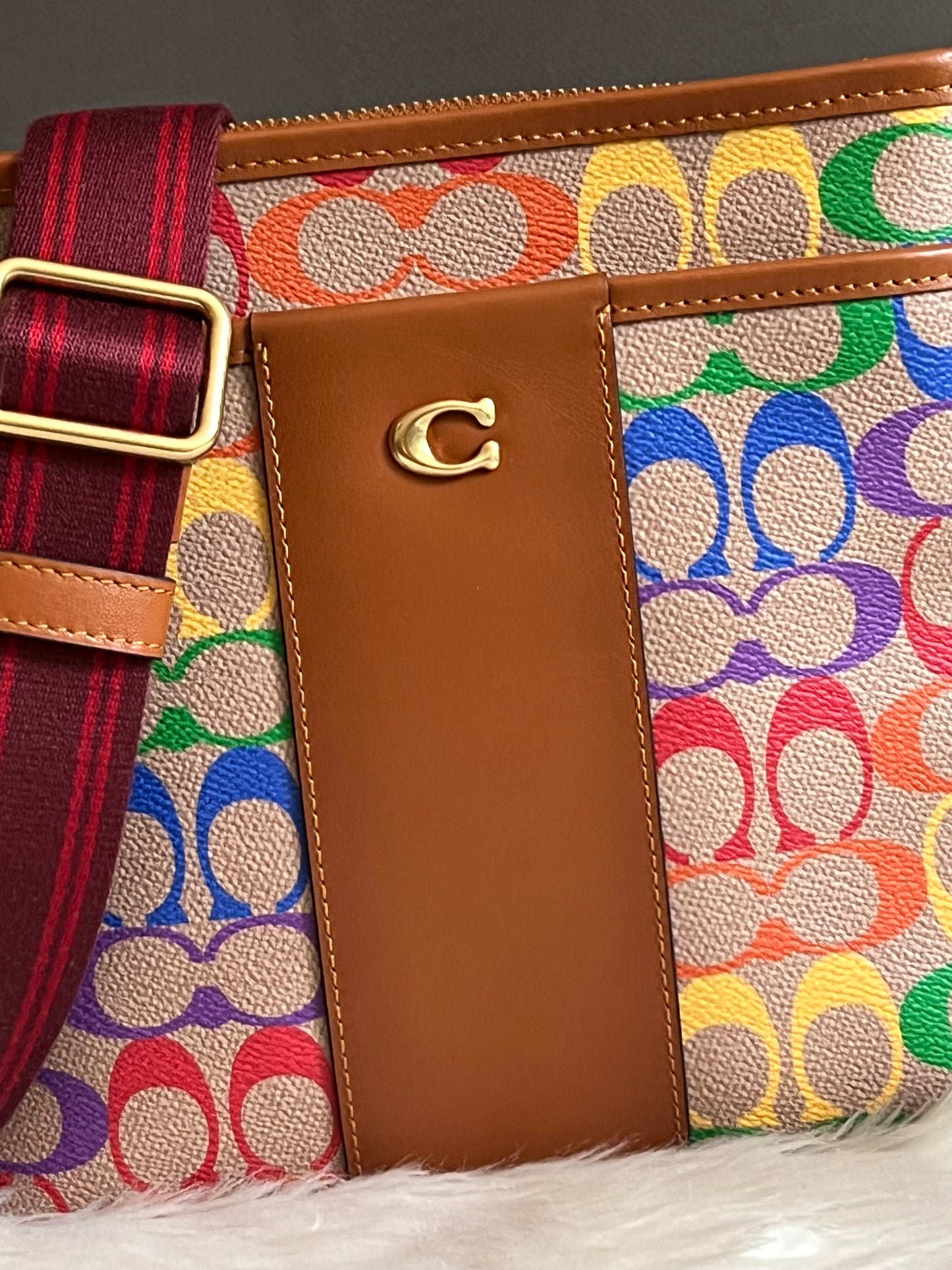 Coach Kitt Messenger Crossbody Bag in Rainbow Signature Canvas