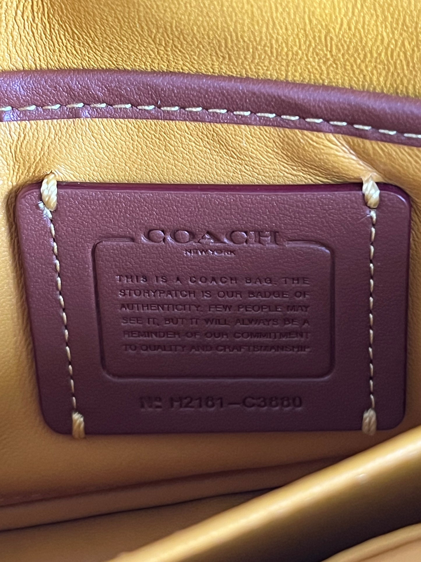 Coach Pillow Tabby Shoulder Bag 18