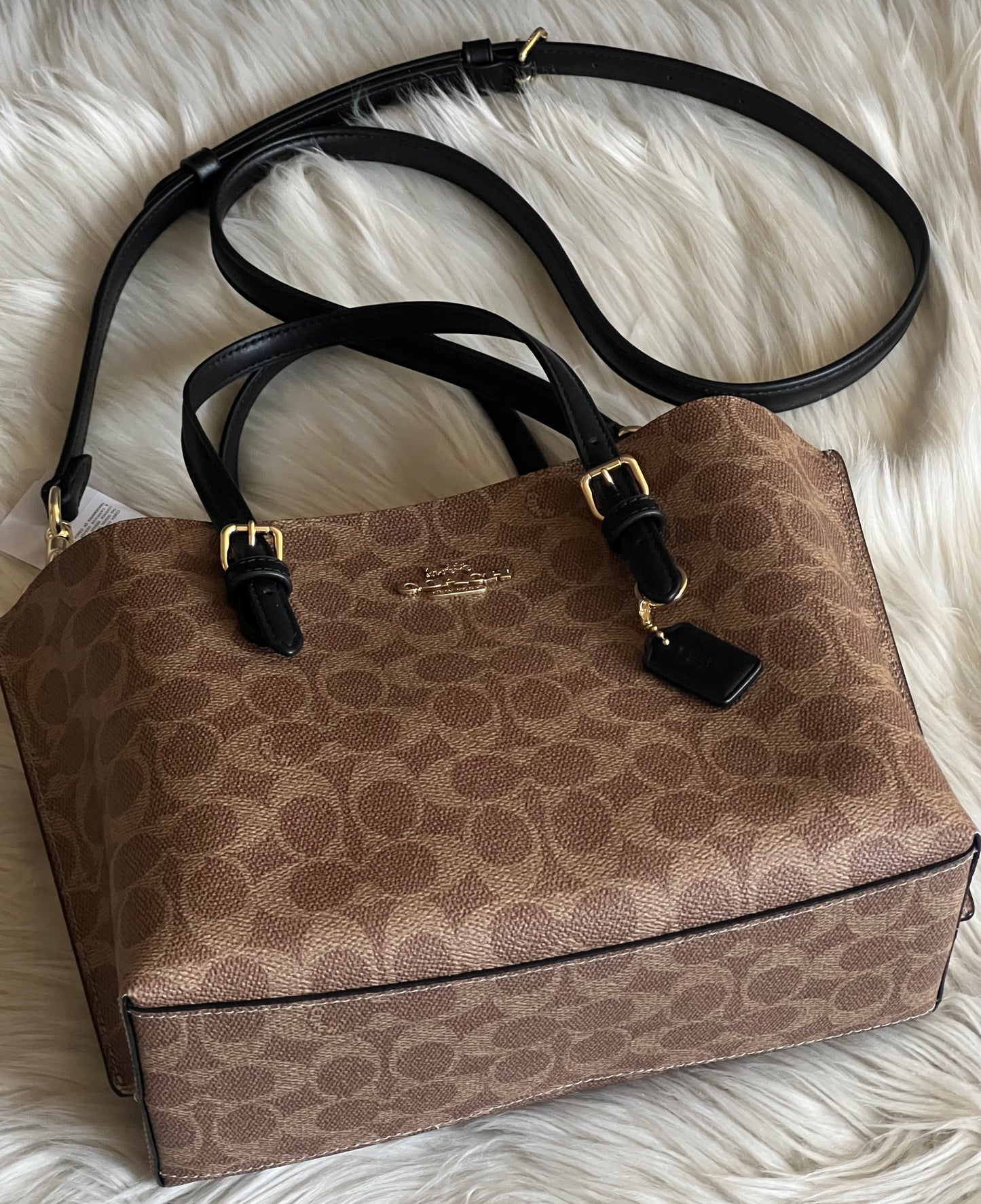 Coach Mollie Tote Bag 25 in Signature Canvas
