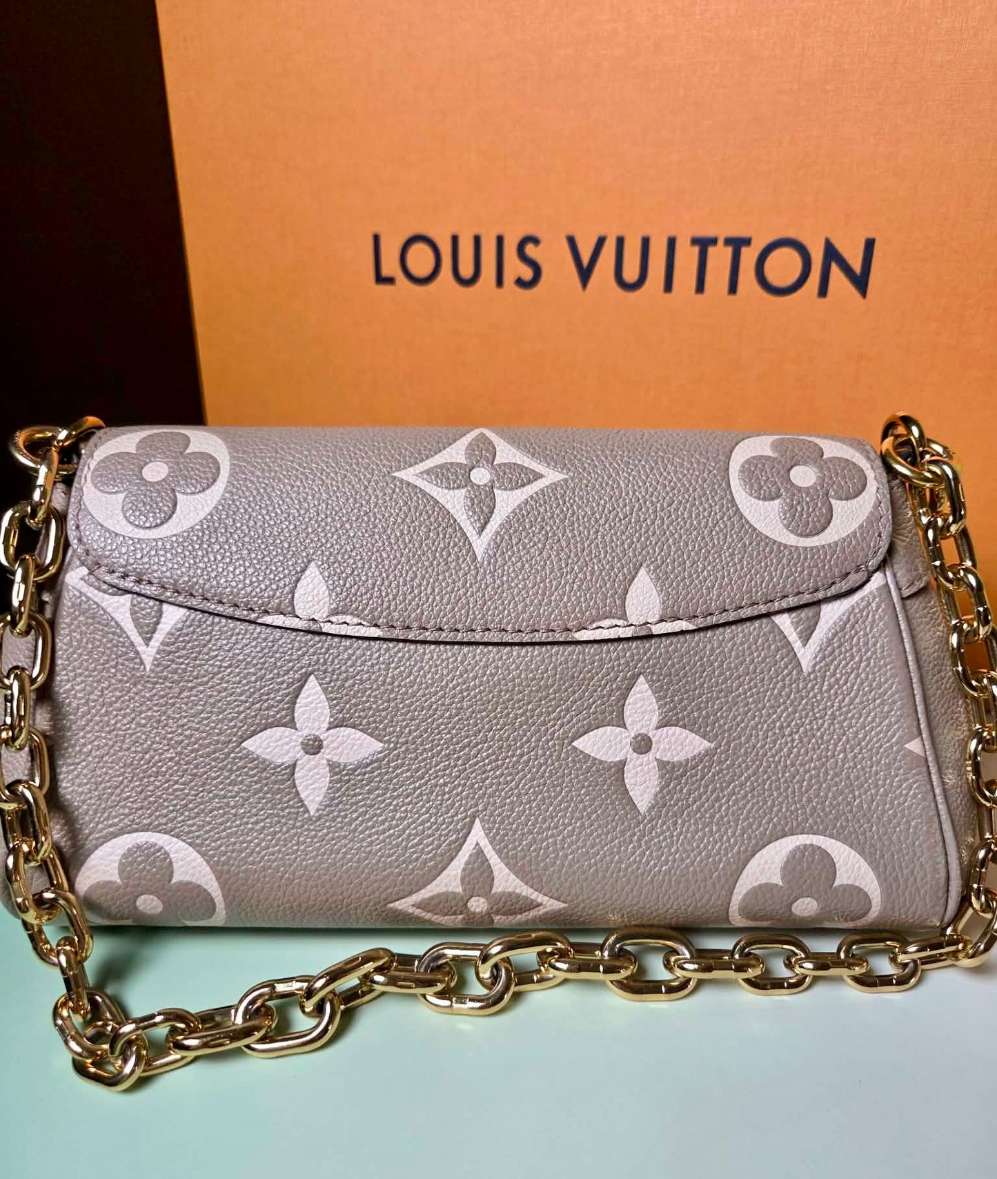 Louis Vuitton Favorite