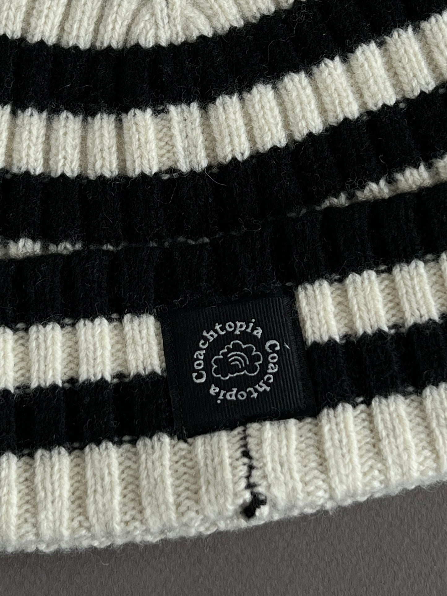 Coach Beanie with Stripe Pattern