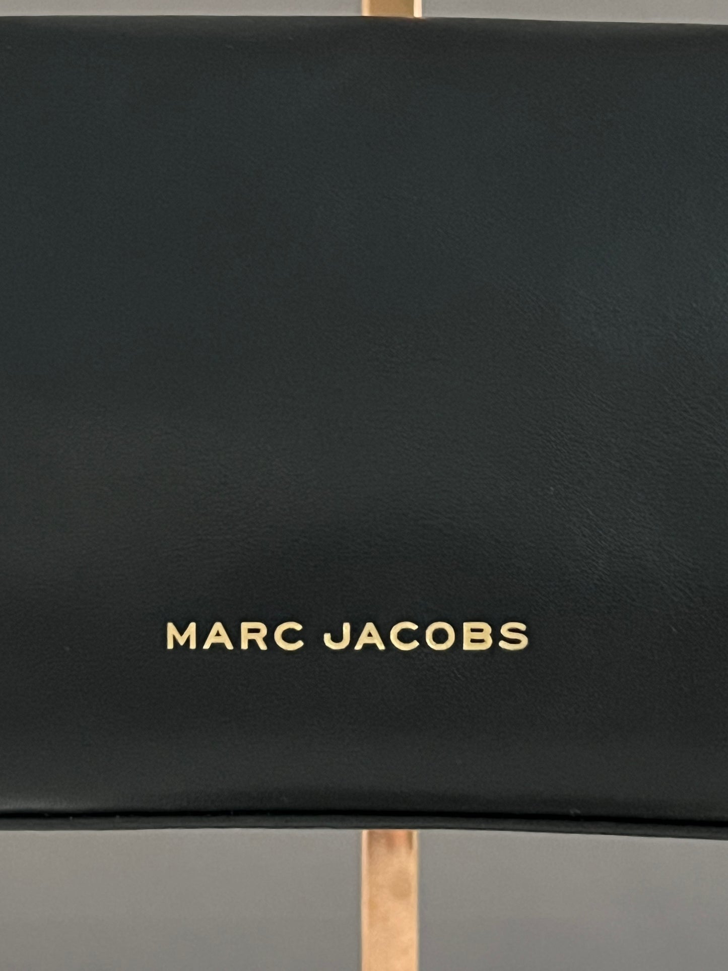 Marc Jacobs The Mini Dual Bag