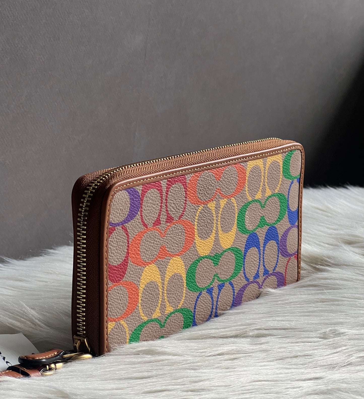 Coach Continental Wallet In Rainbow Signature Canvas