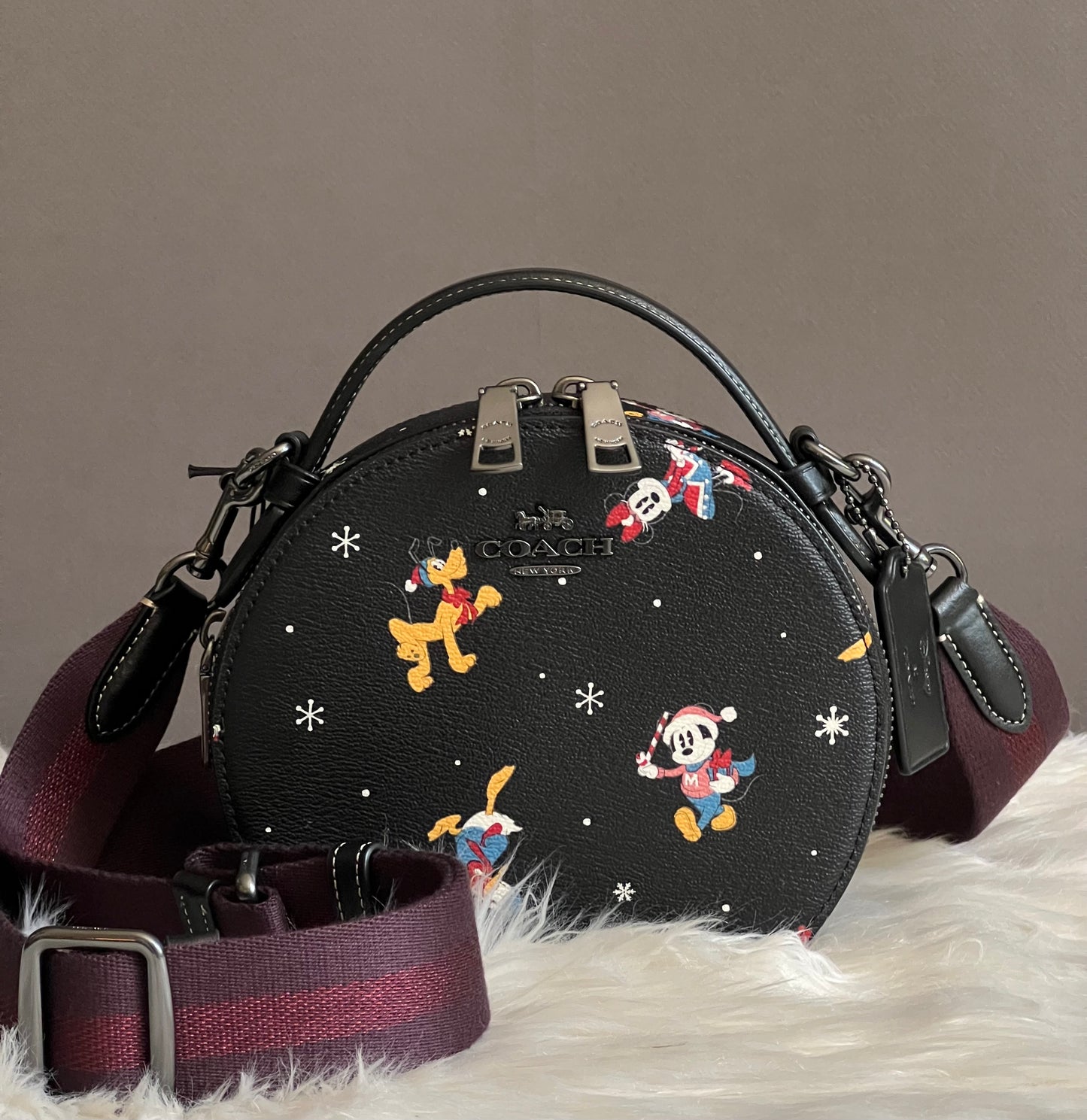 Disney X Coach Canteen Crossbody with Holiday Print