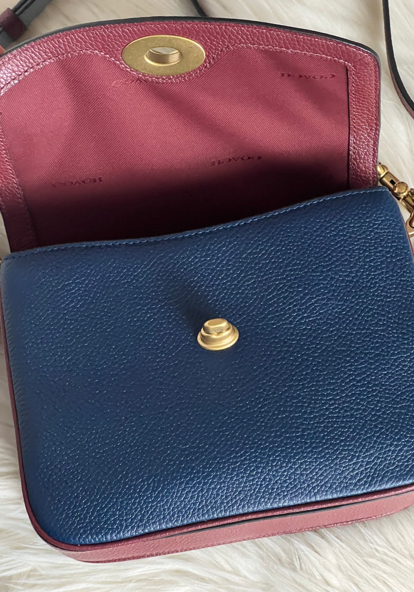 Coach Cassie Crossbody 19 In Colorblock