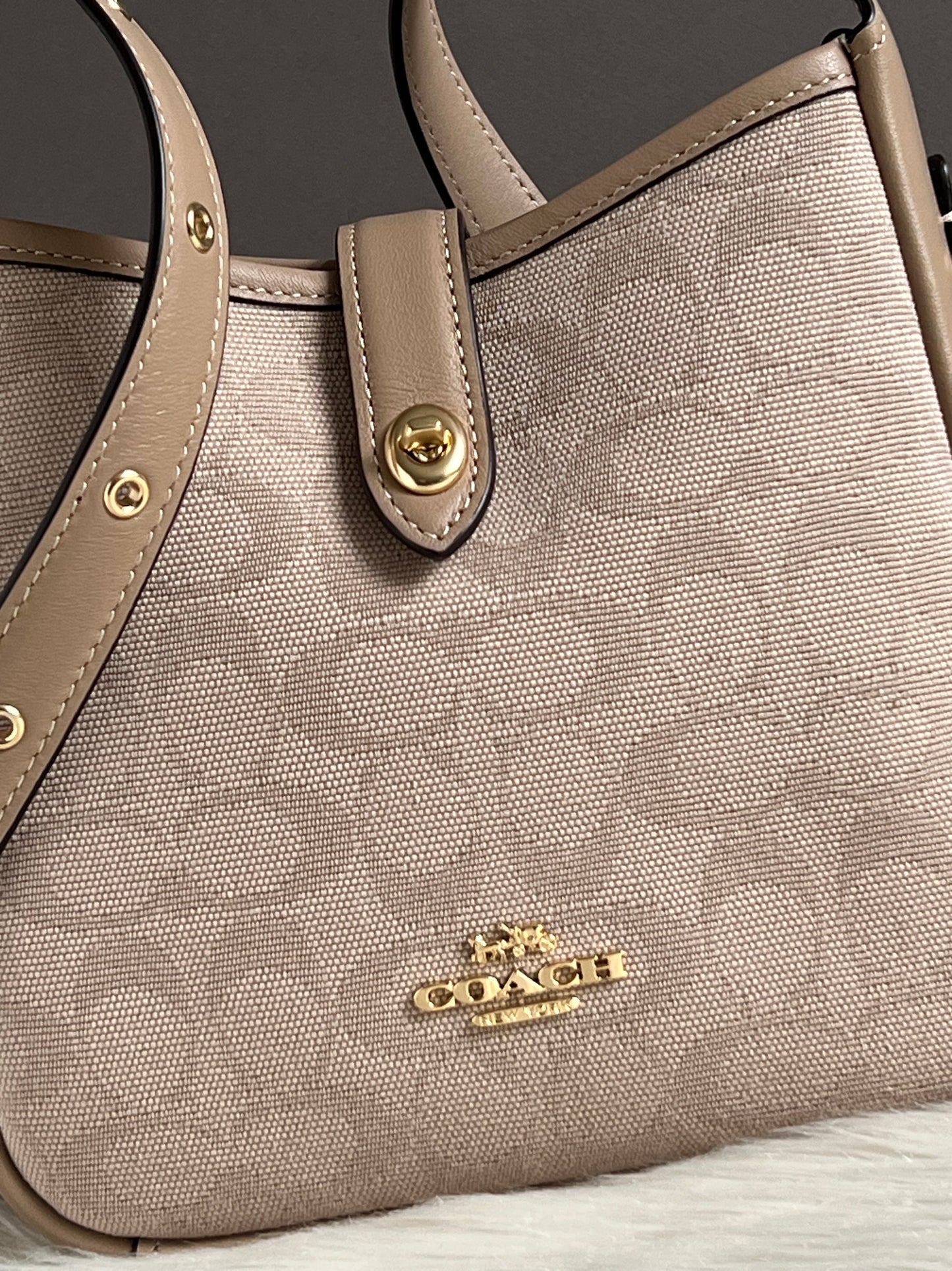 Coach Hadley Mini Crossbody