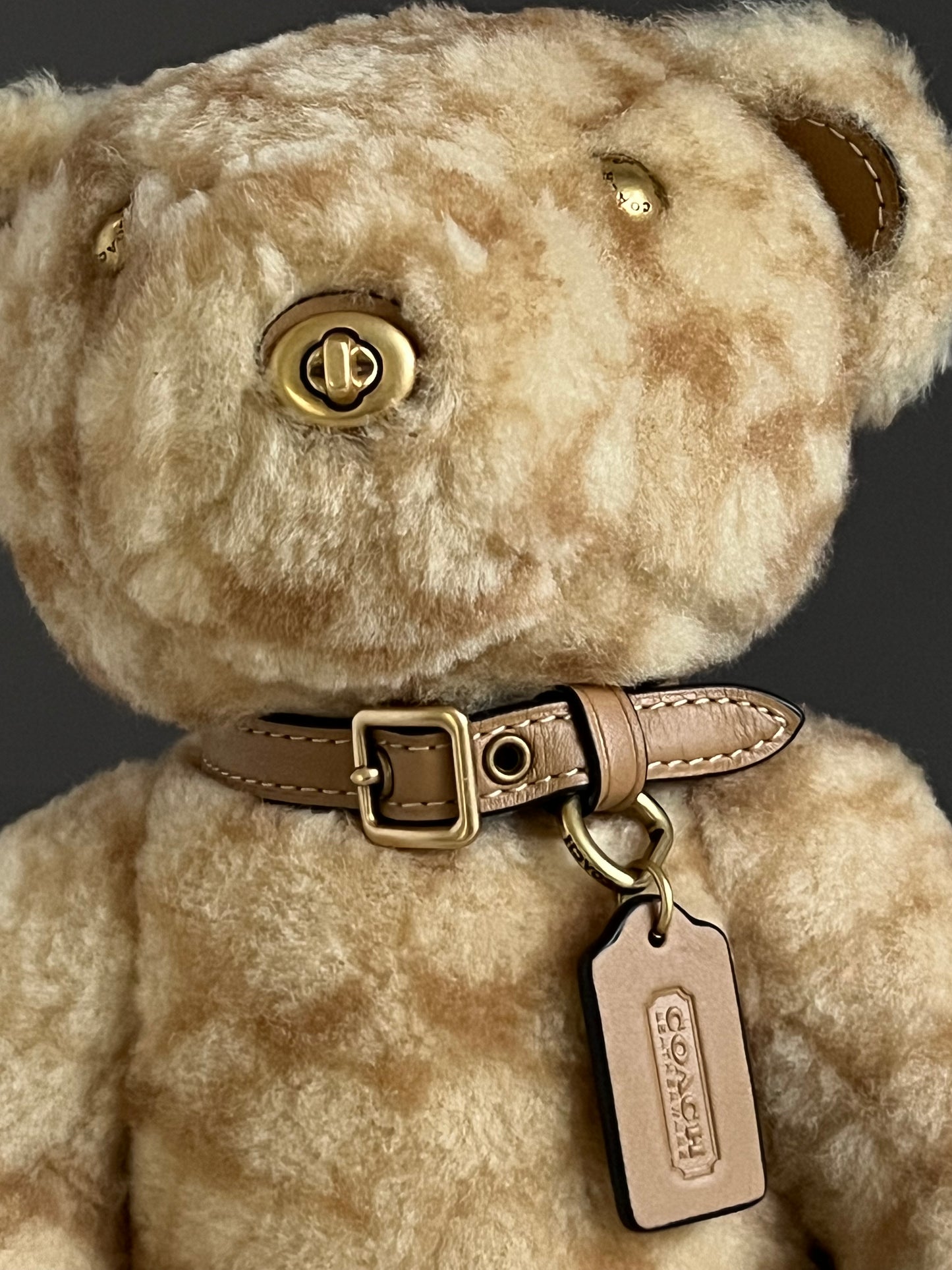 Coach Bear Collectible in Signature Shearling